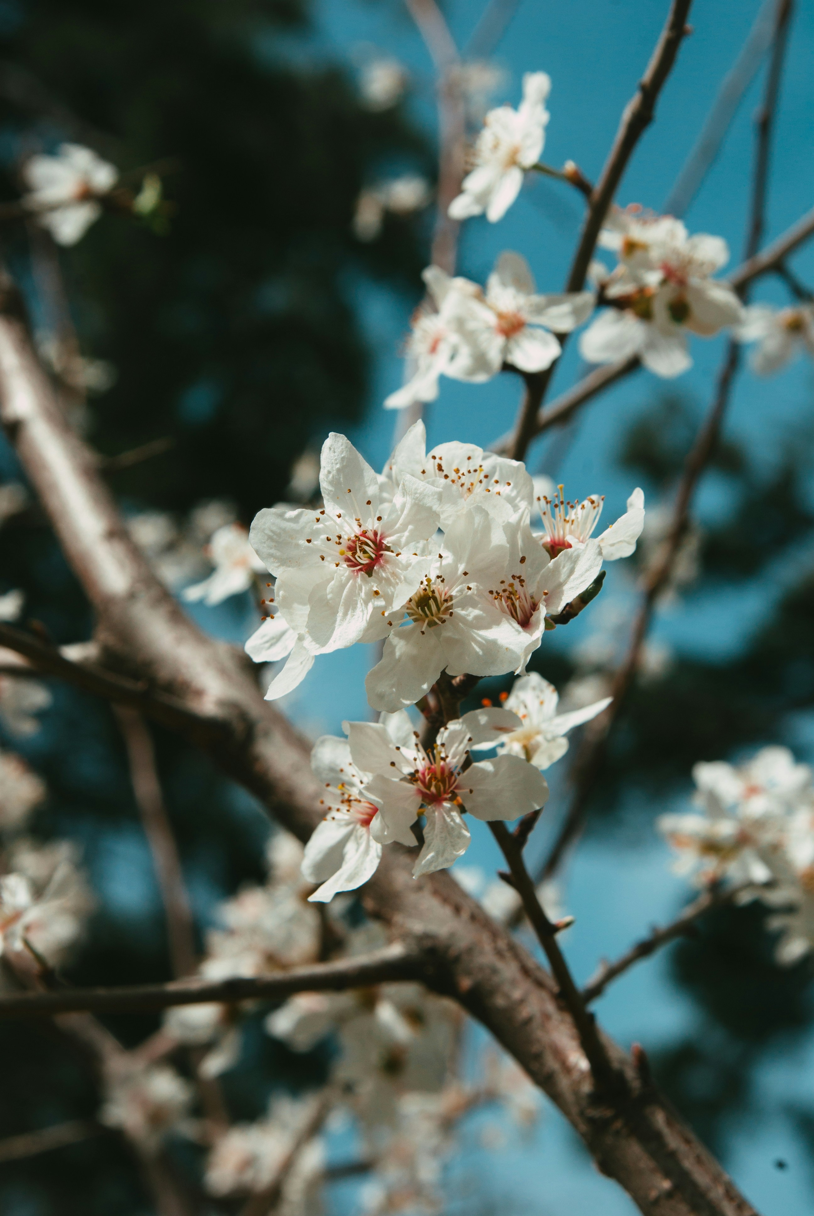 Photo by moonmoons_days