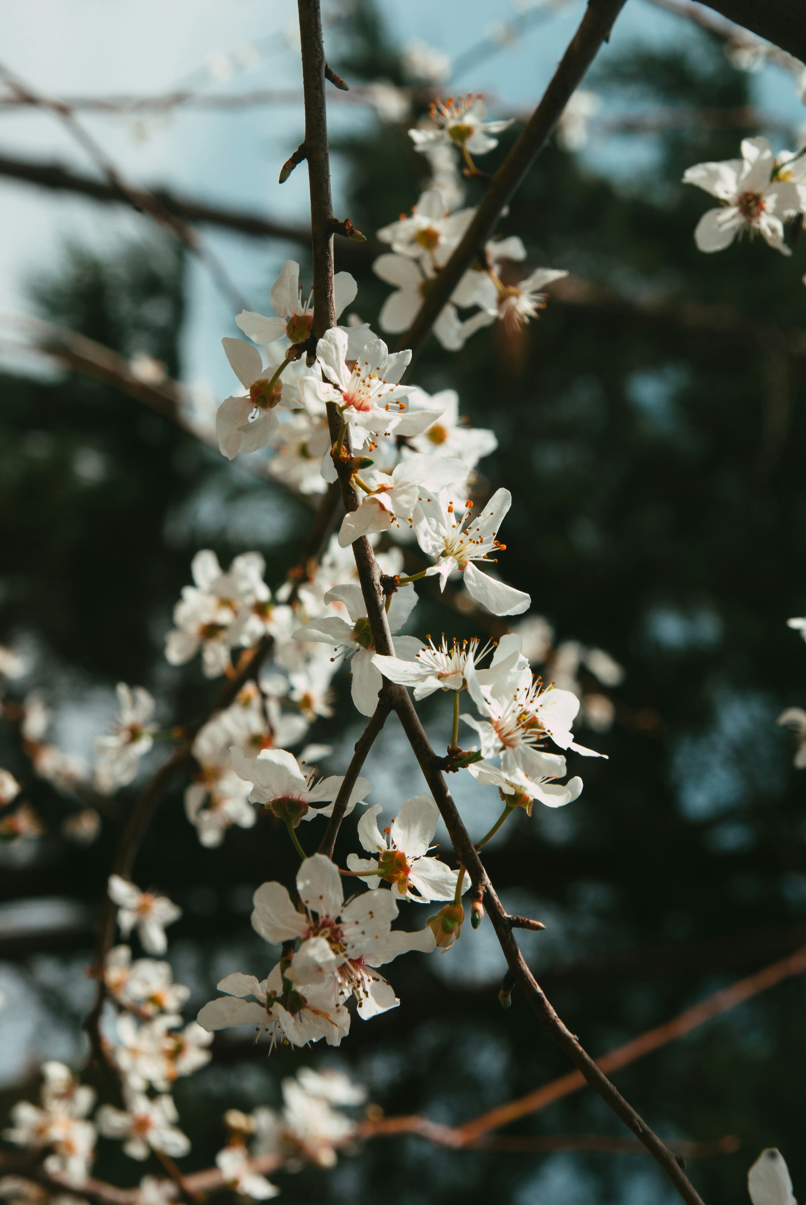 Photo by moonmoons_days