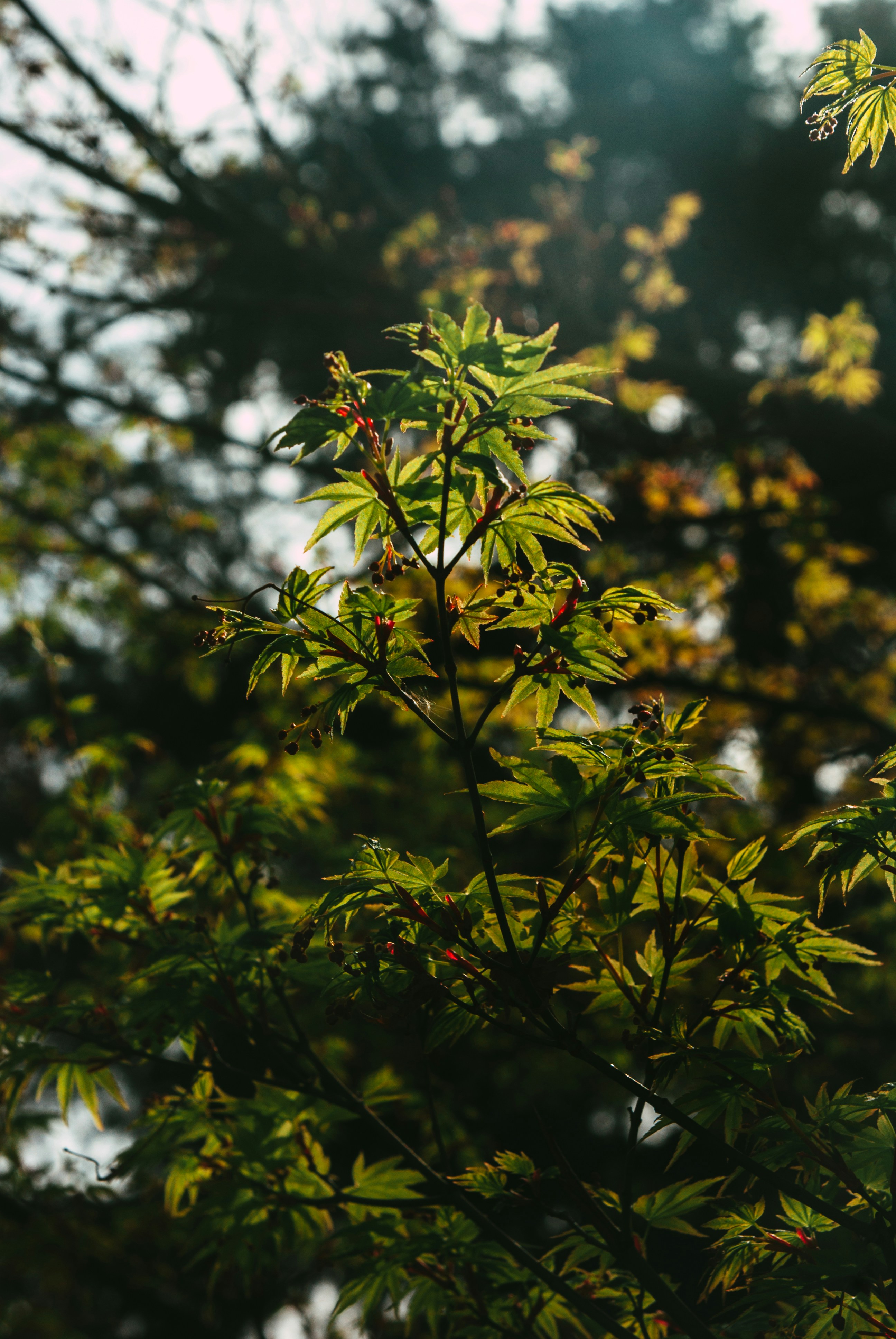 Photo by moonmoons_days