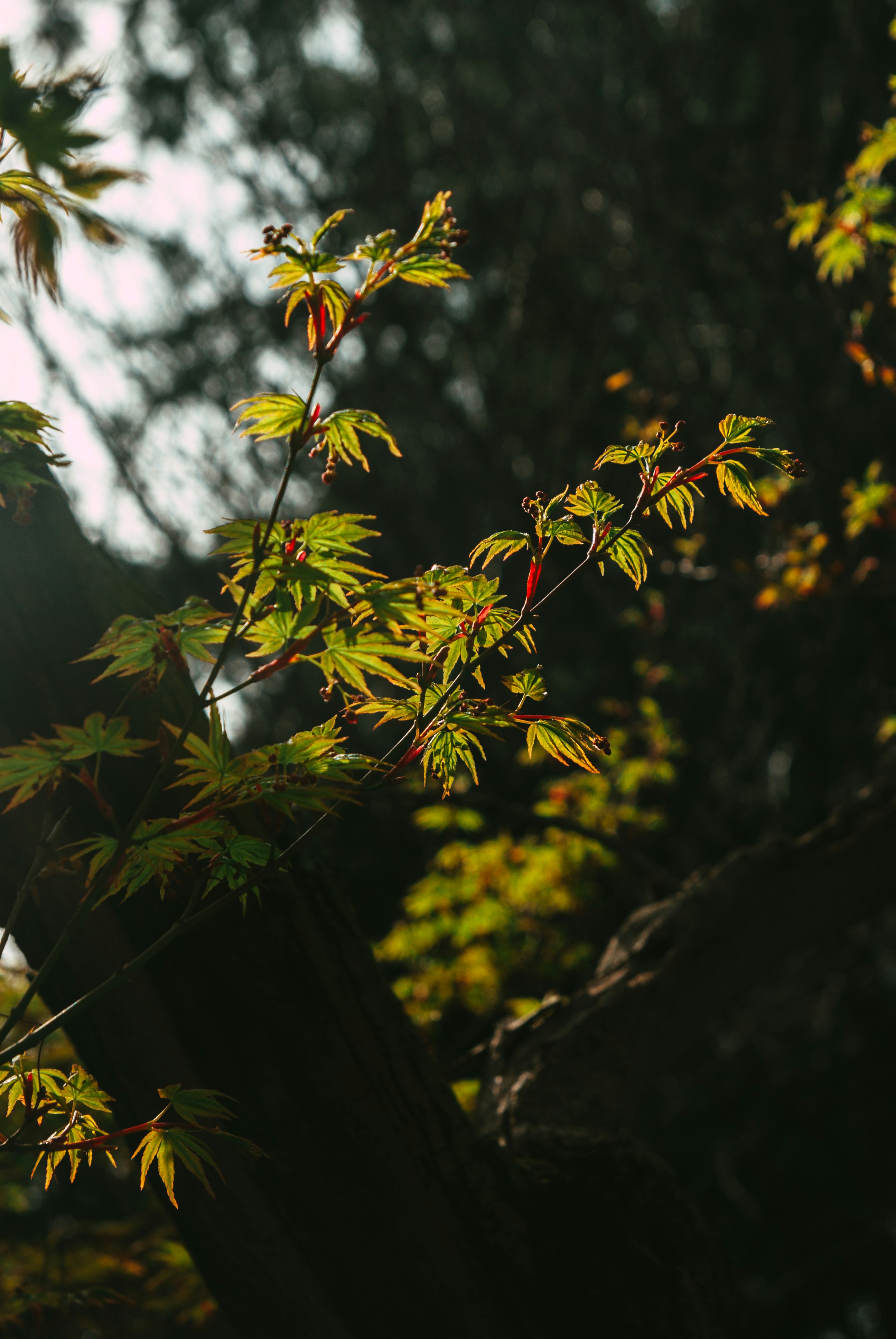 Photo by moonmoons_days