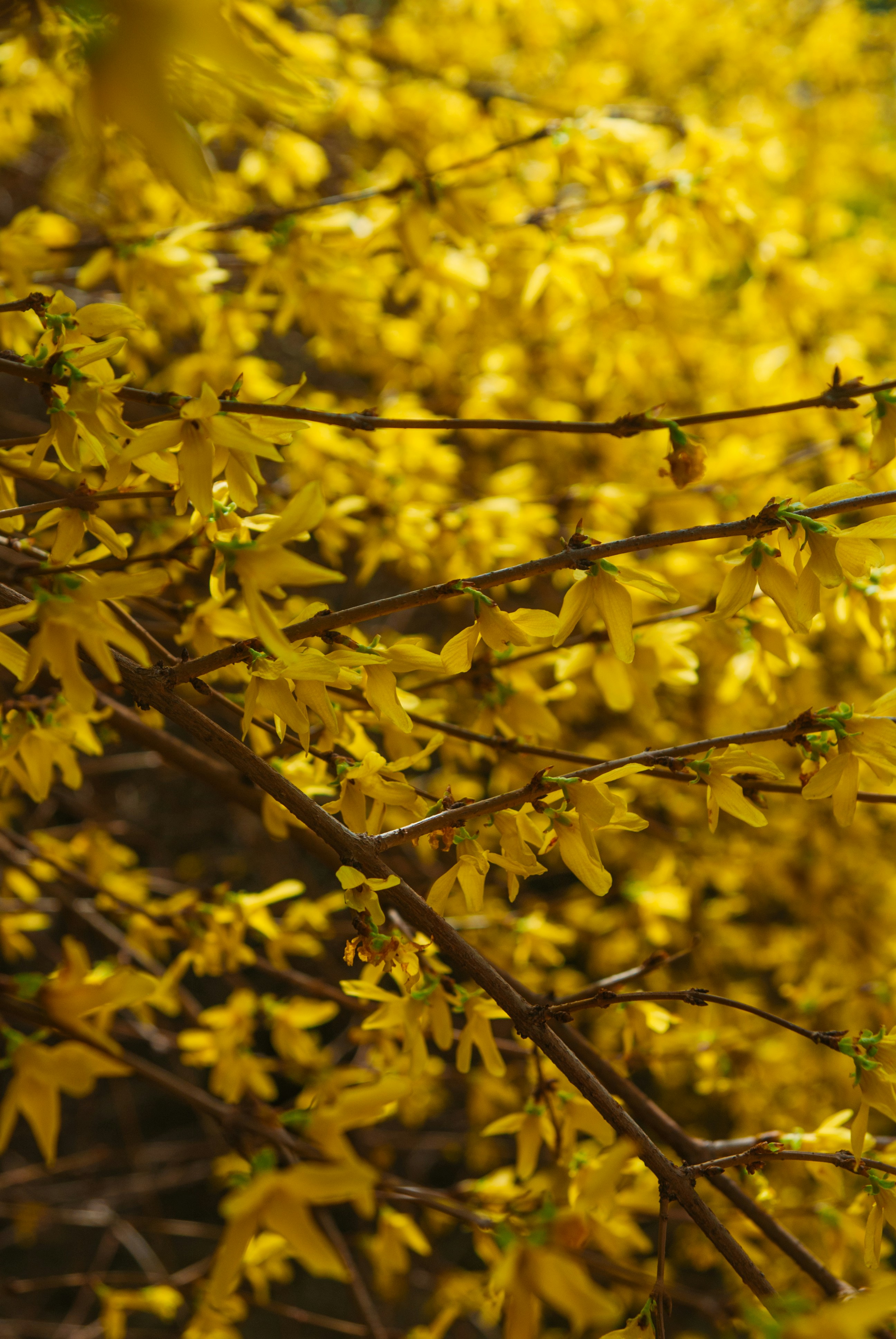 Photo by moonmoons_days