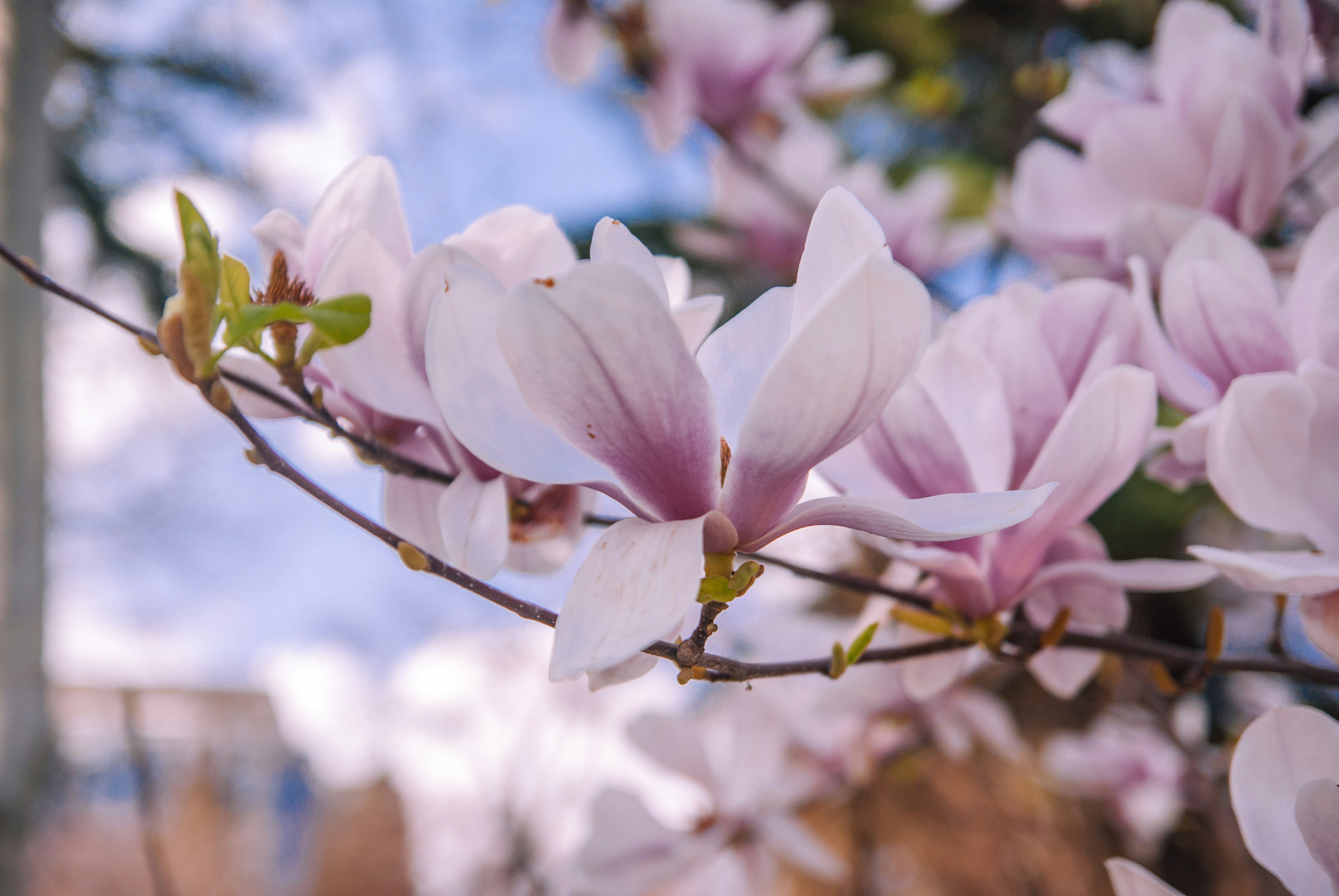 Photo by moonmoons_days