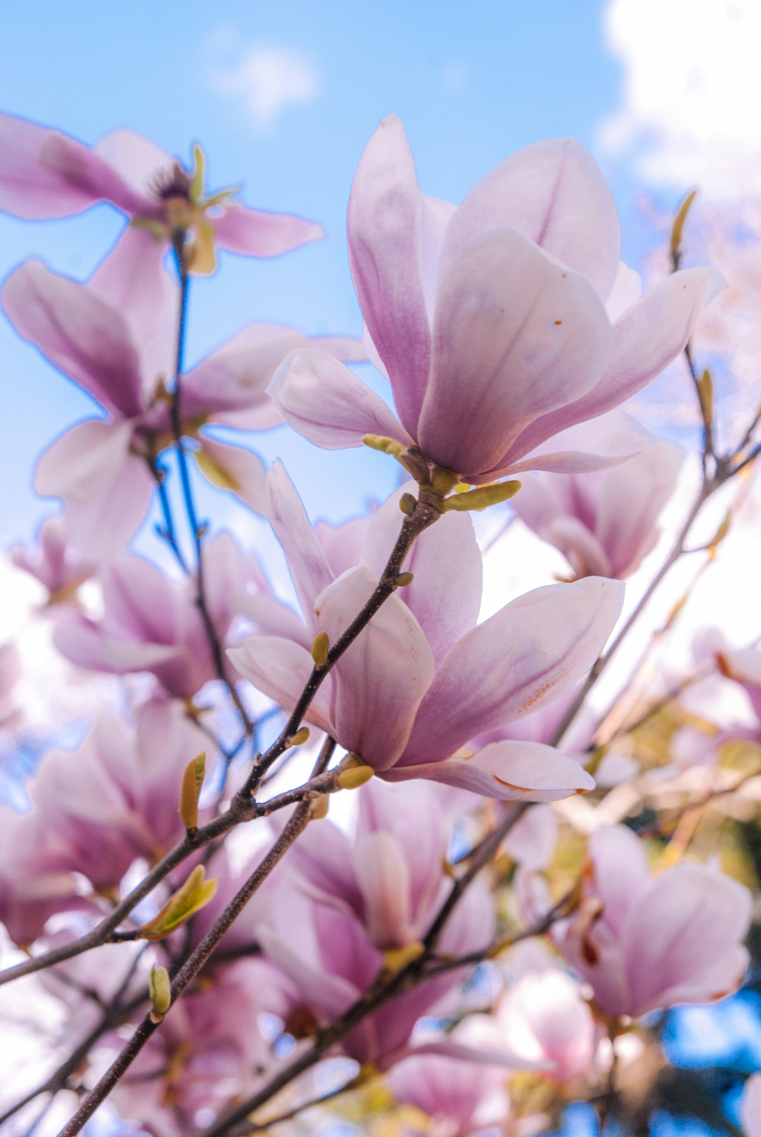 Photo by moonmoons_days