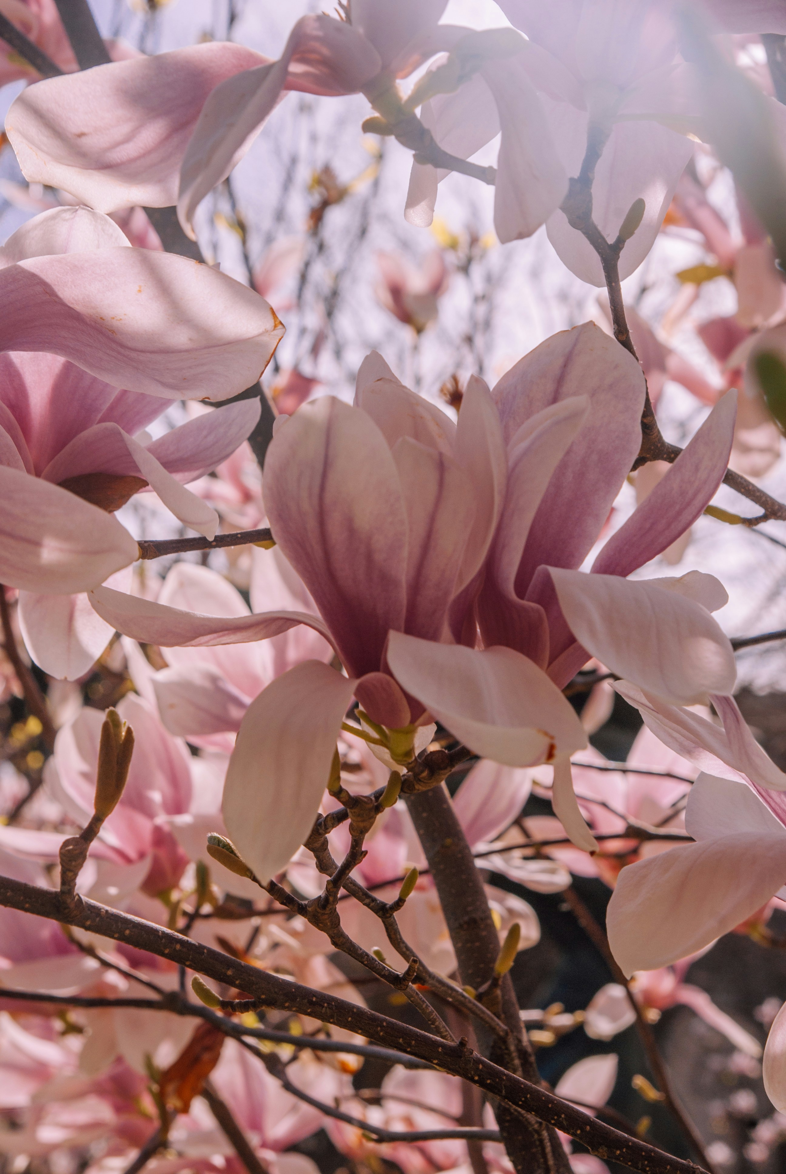 Photo by moonmoons_days