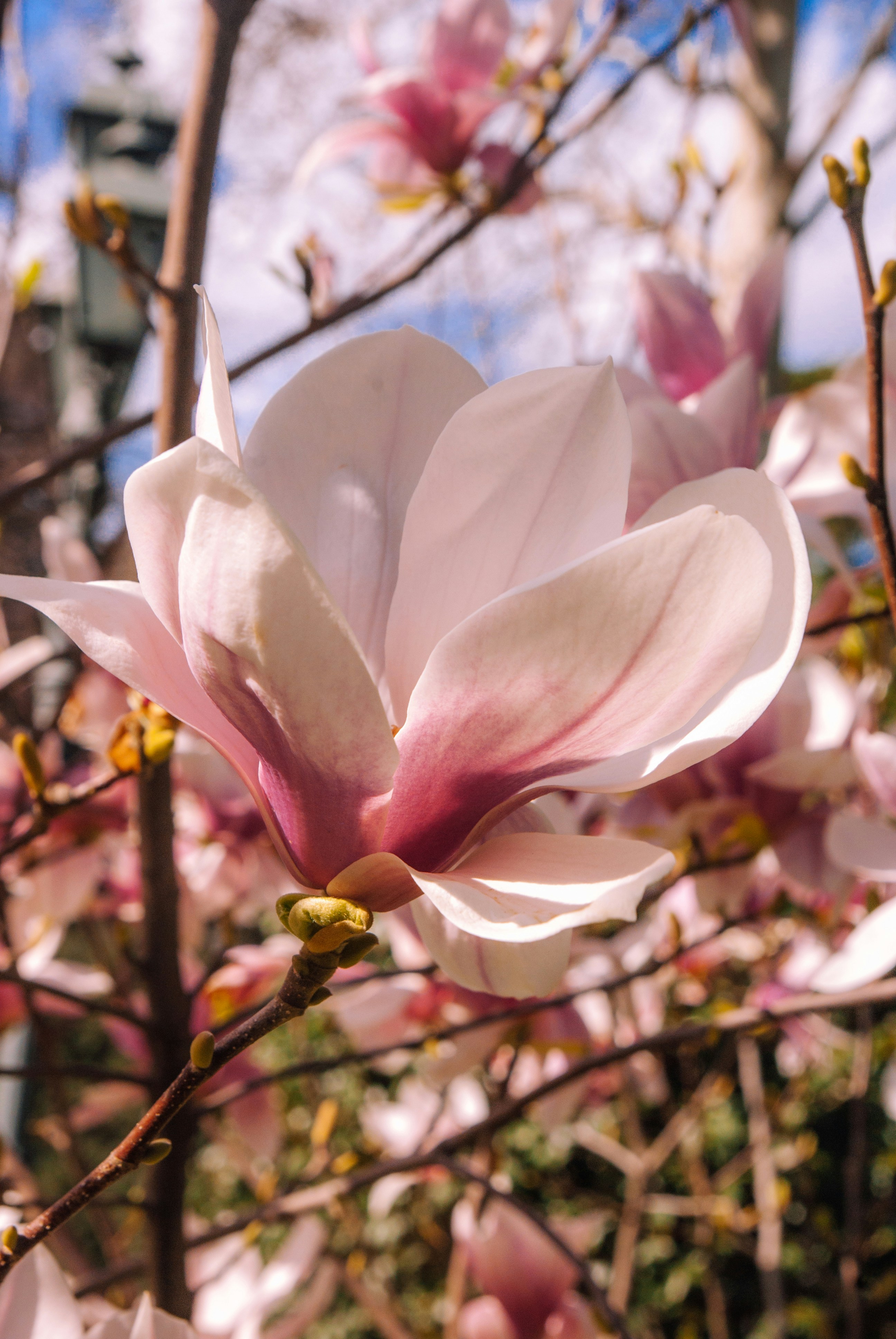 Photo by moonmoons_days