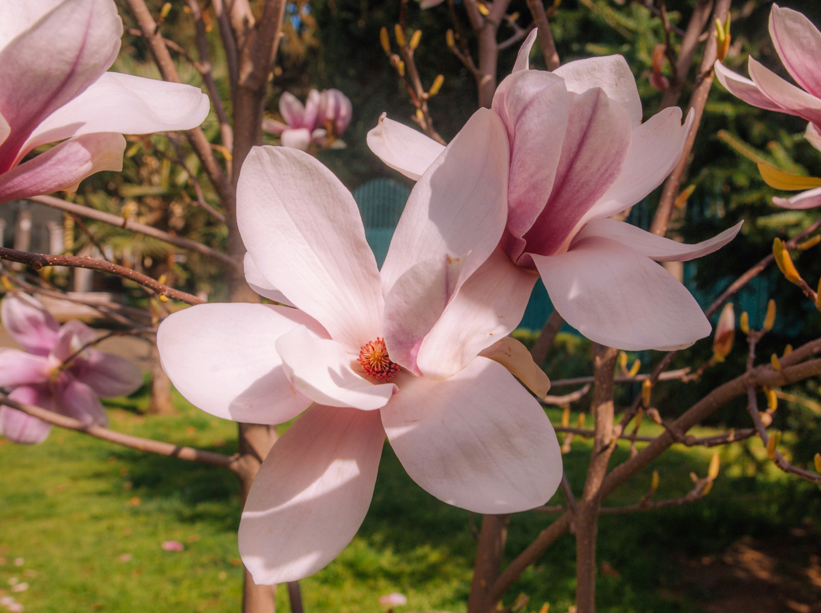 Photo by moonmoons_days