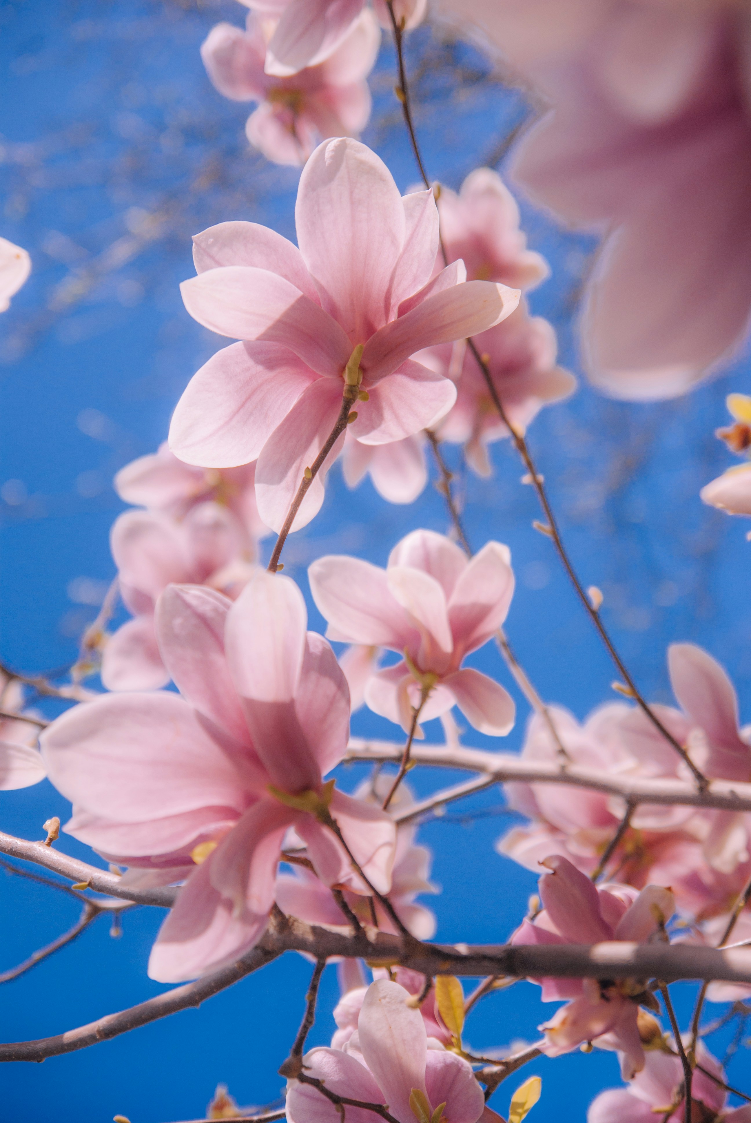 Photo by moonmoons_days