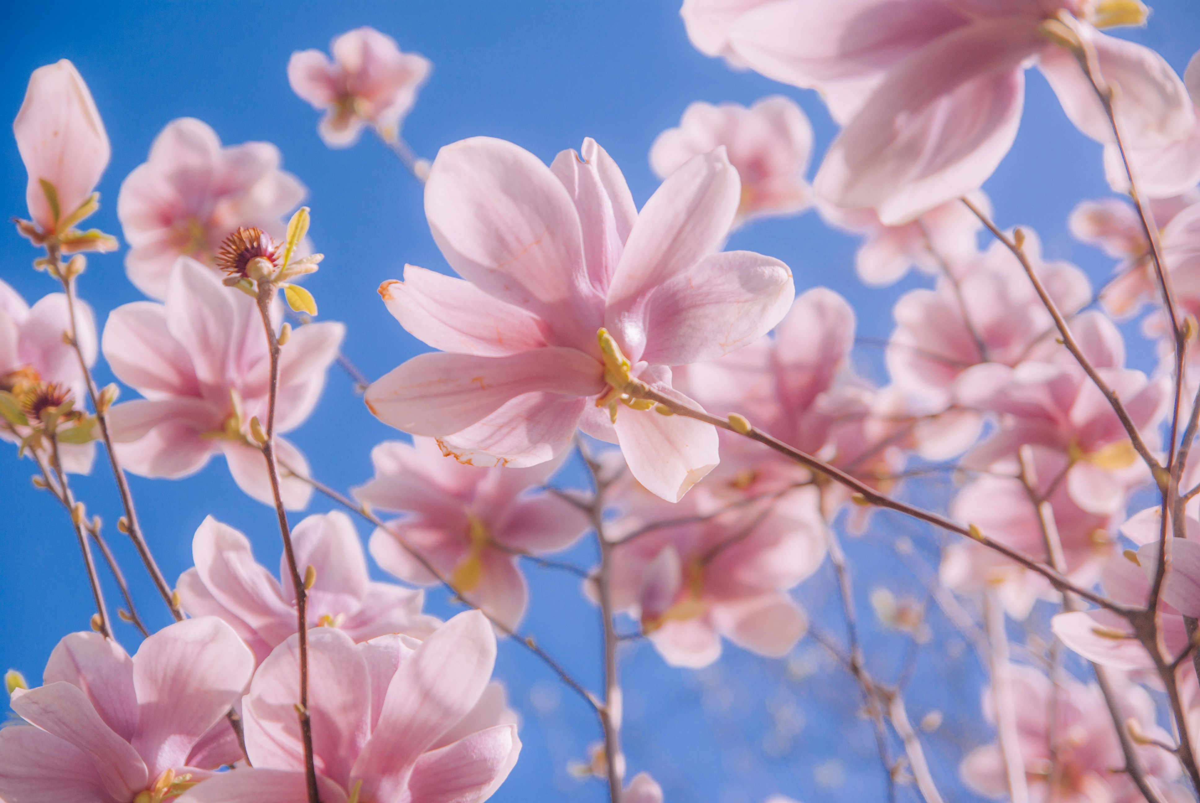 Photo by moonmoons_days