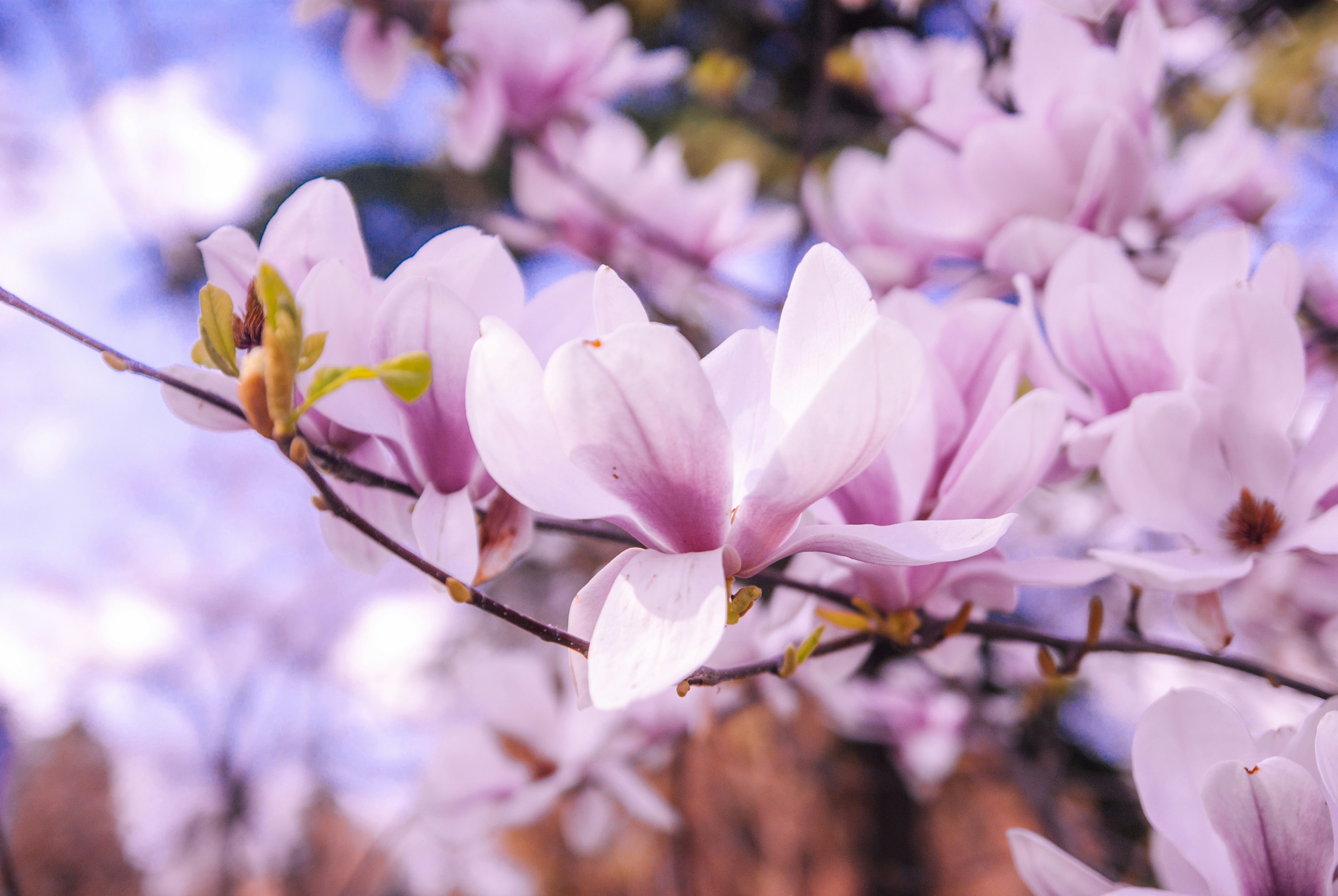 Photo by moonmoons_days