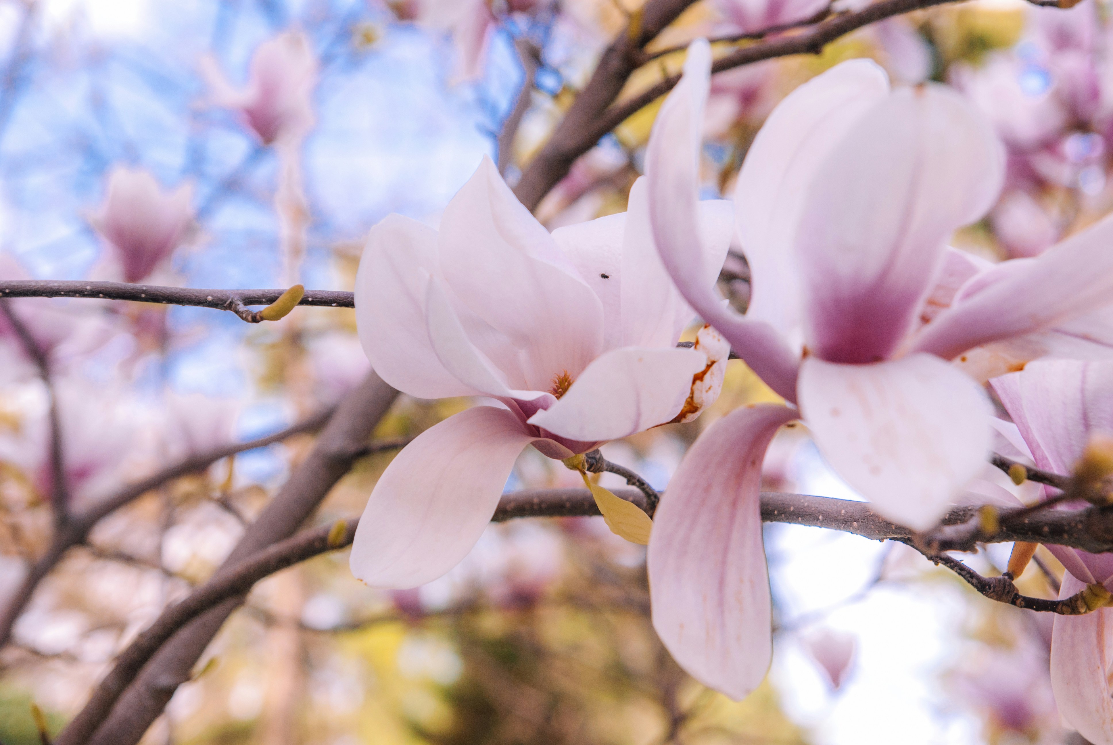 Photo by moonmoons_days