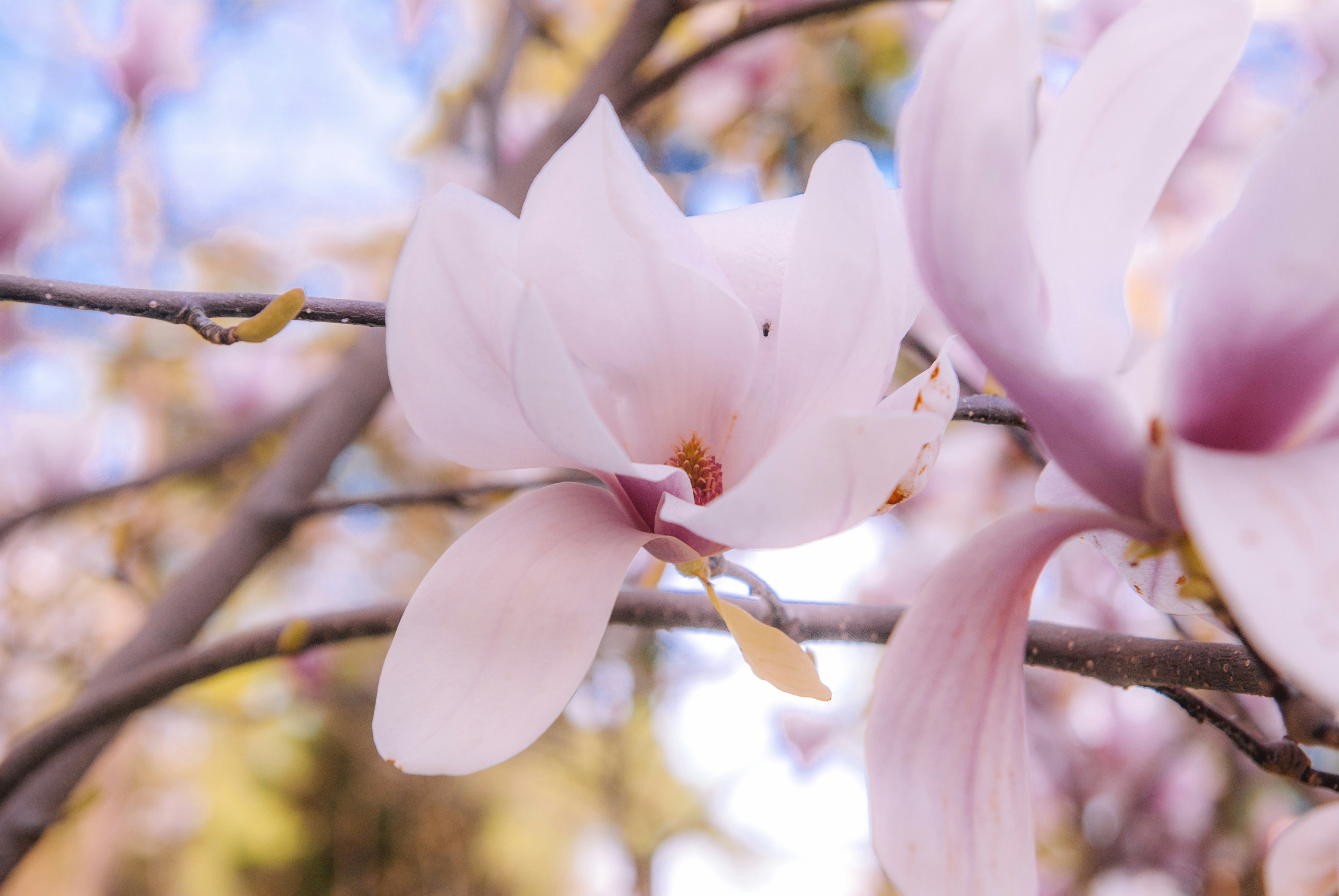 Photo by moonmoons_days