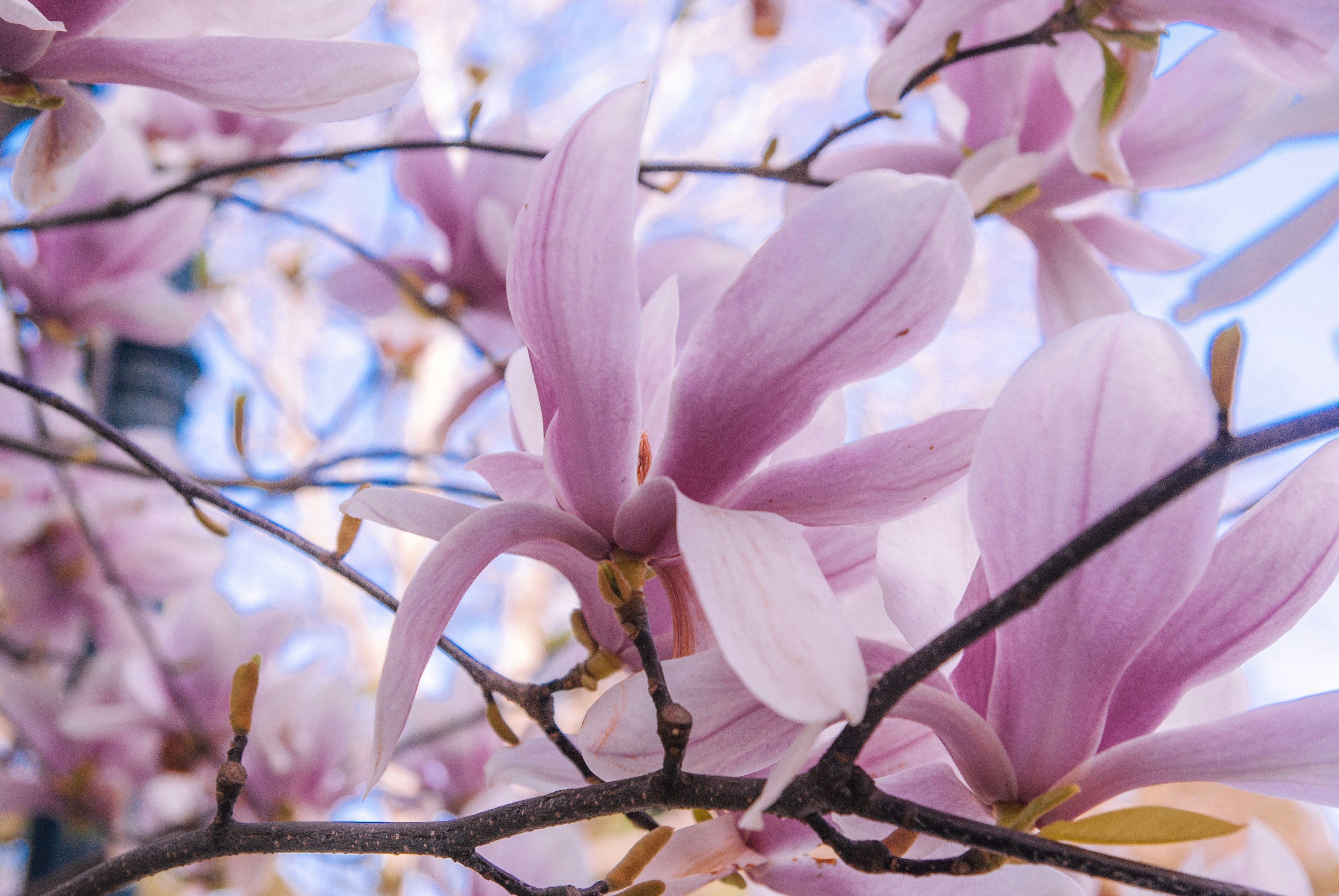 Photo by moonmoons_days