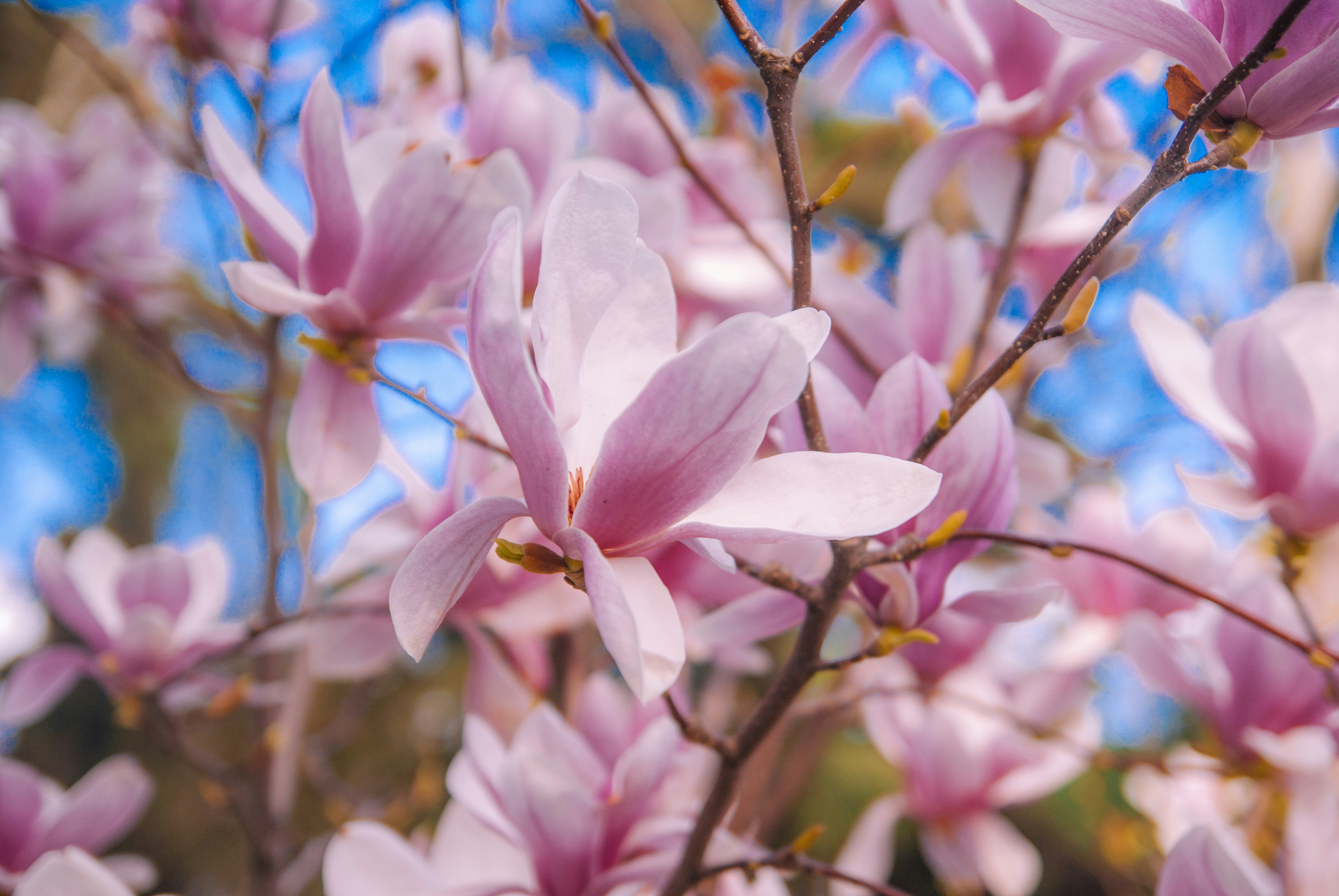 Photo by moonmoons_days