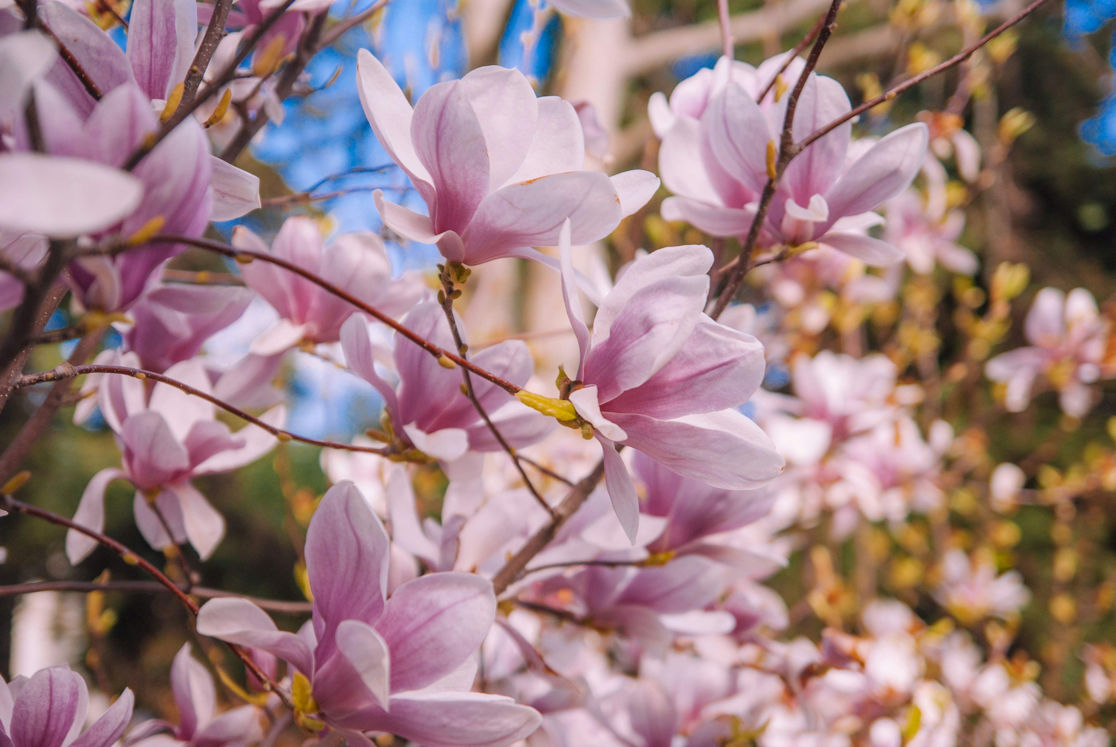 Photo by moonmoons_days