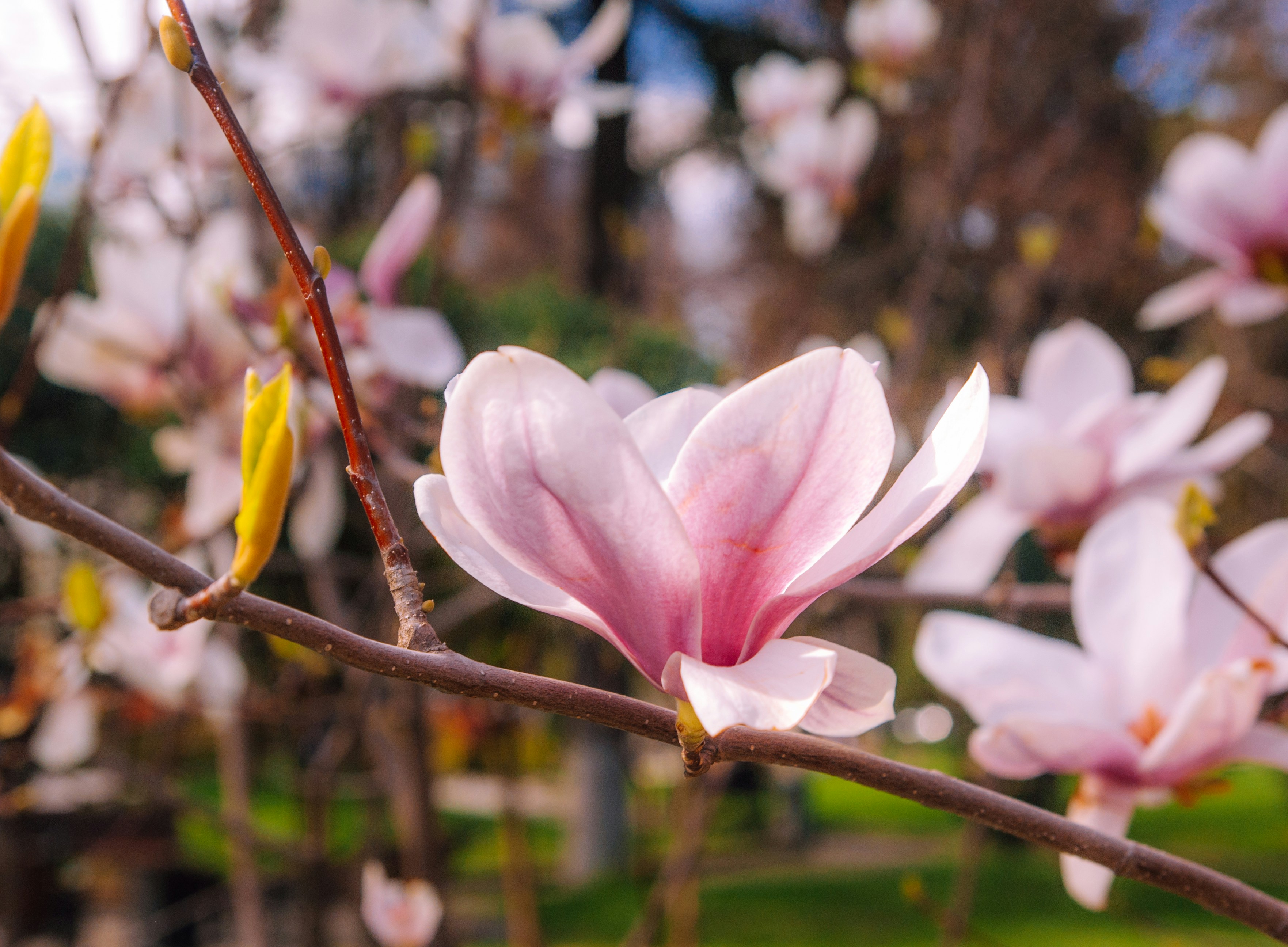 Photo by moonmoons_days