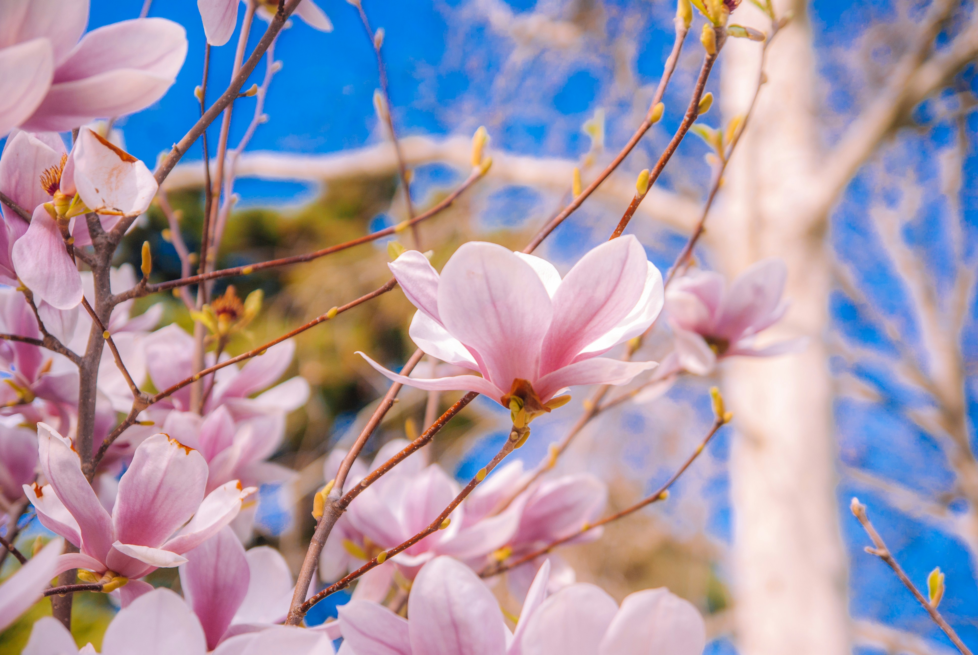 Photo by moonmoons_days