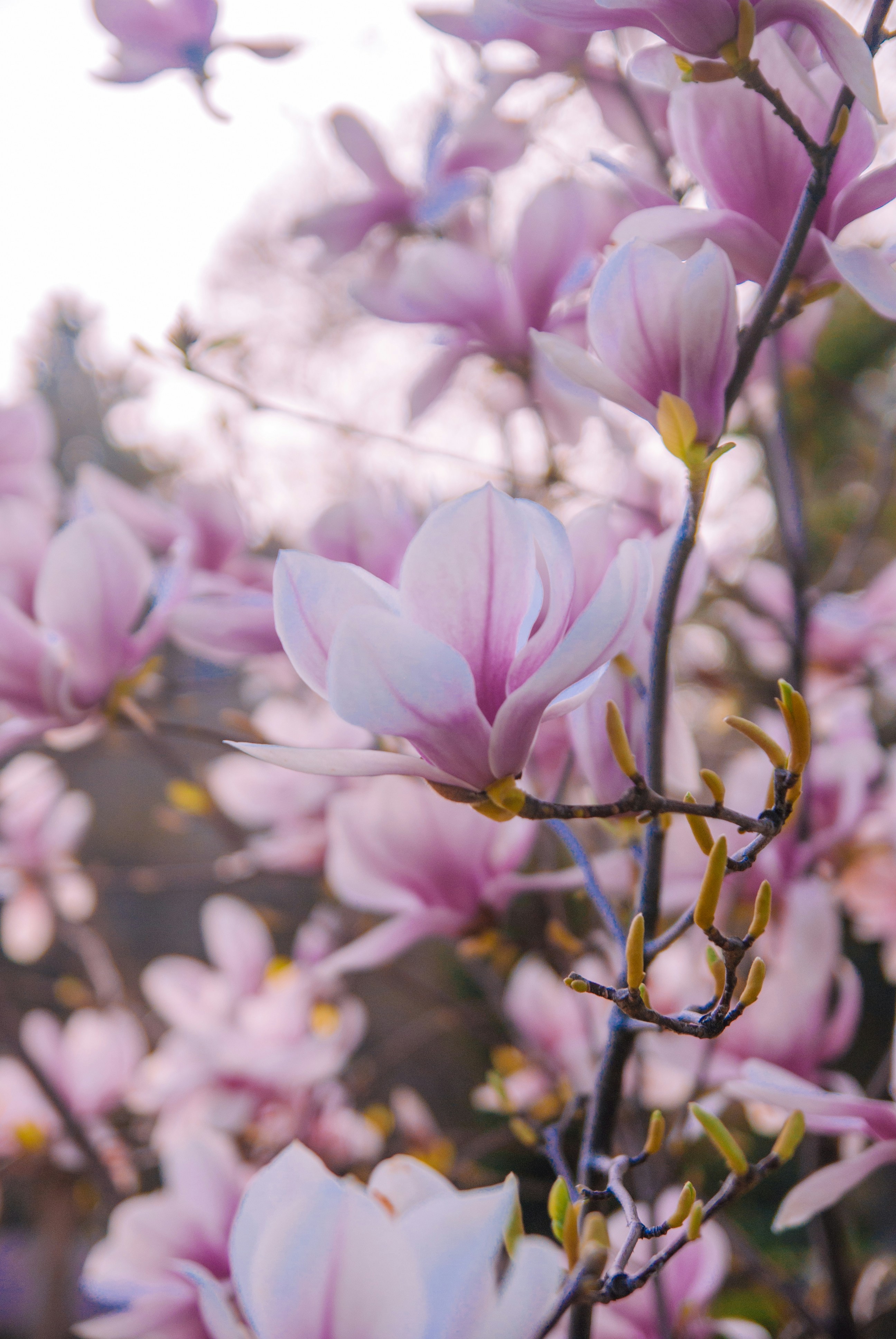 Photo by moonmoons_days