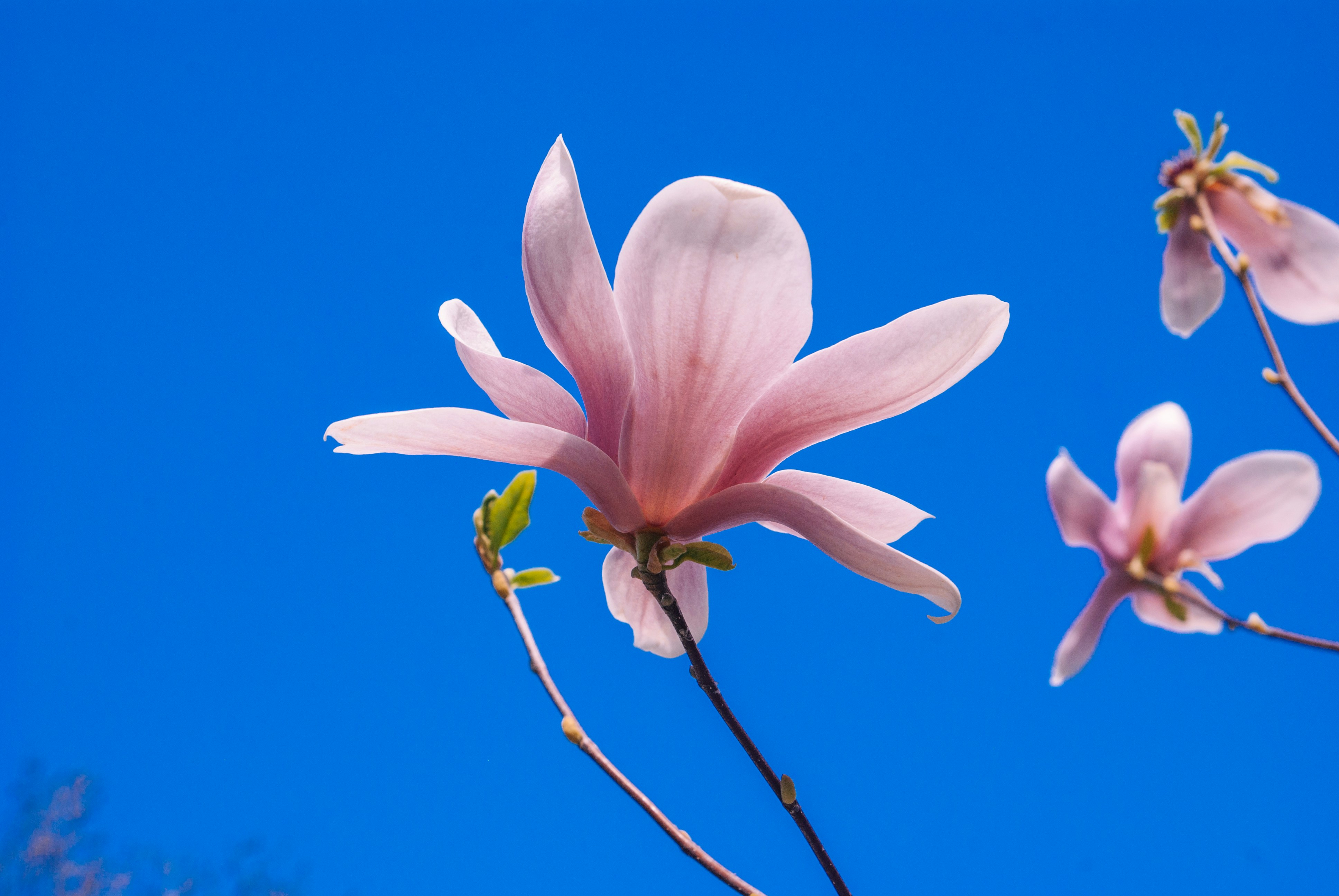 Photo by moonmoons_days