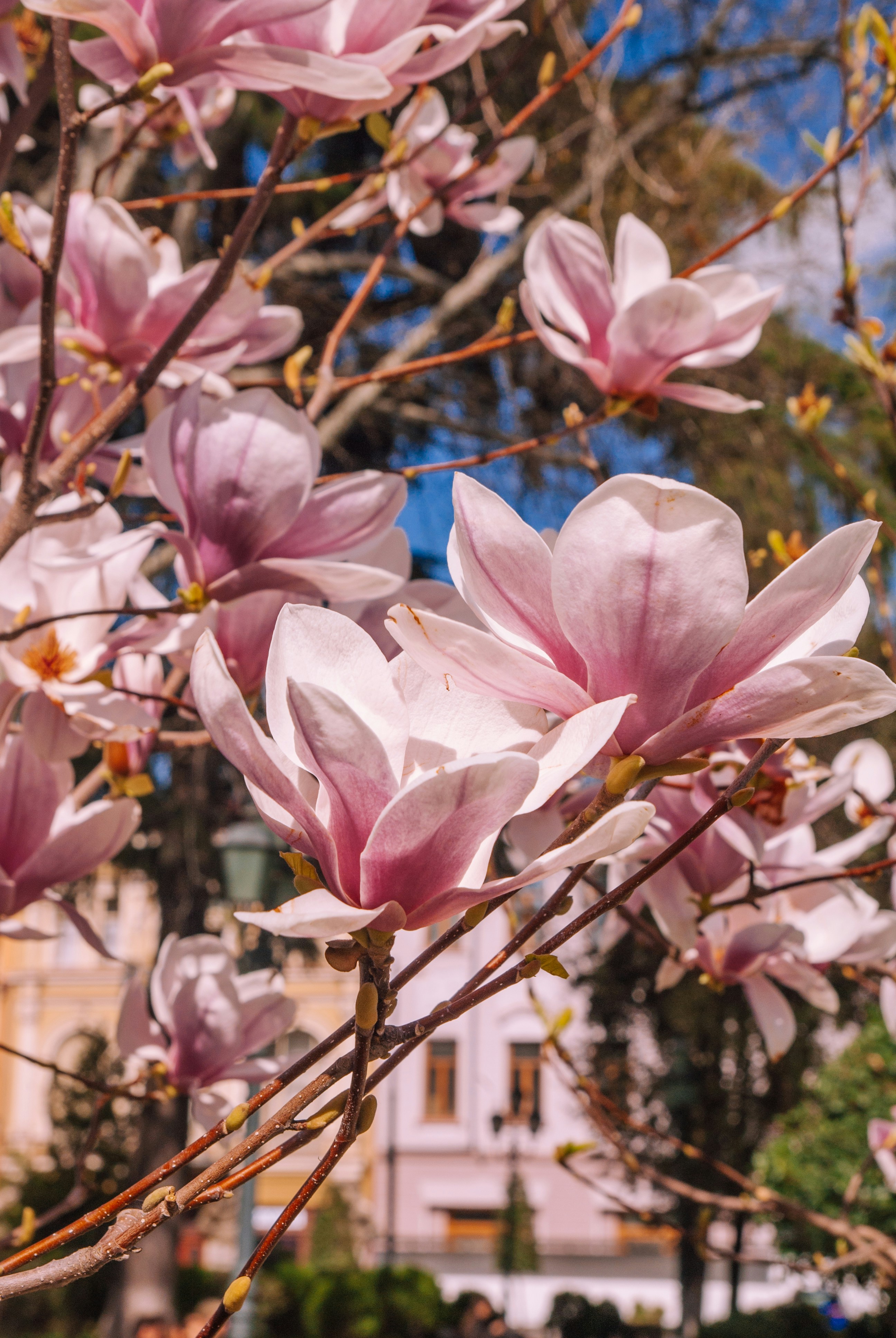 Photo by moonmoons_days