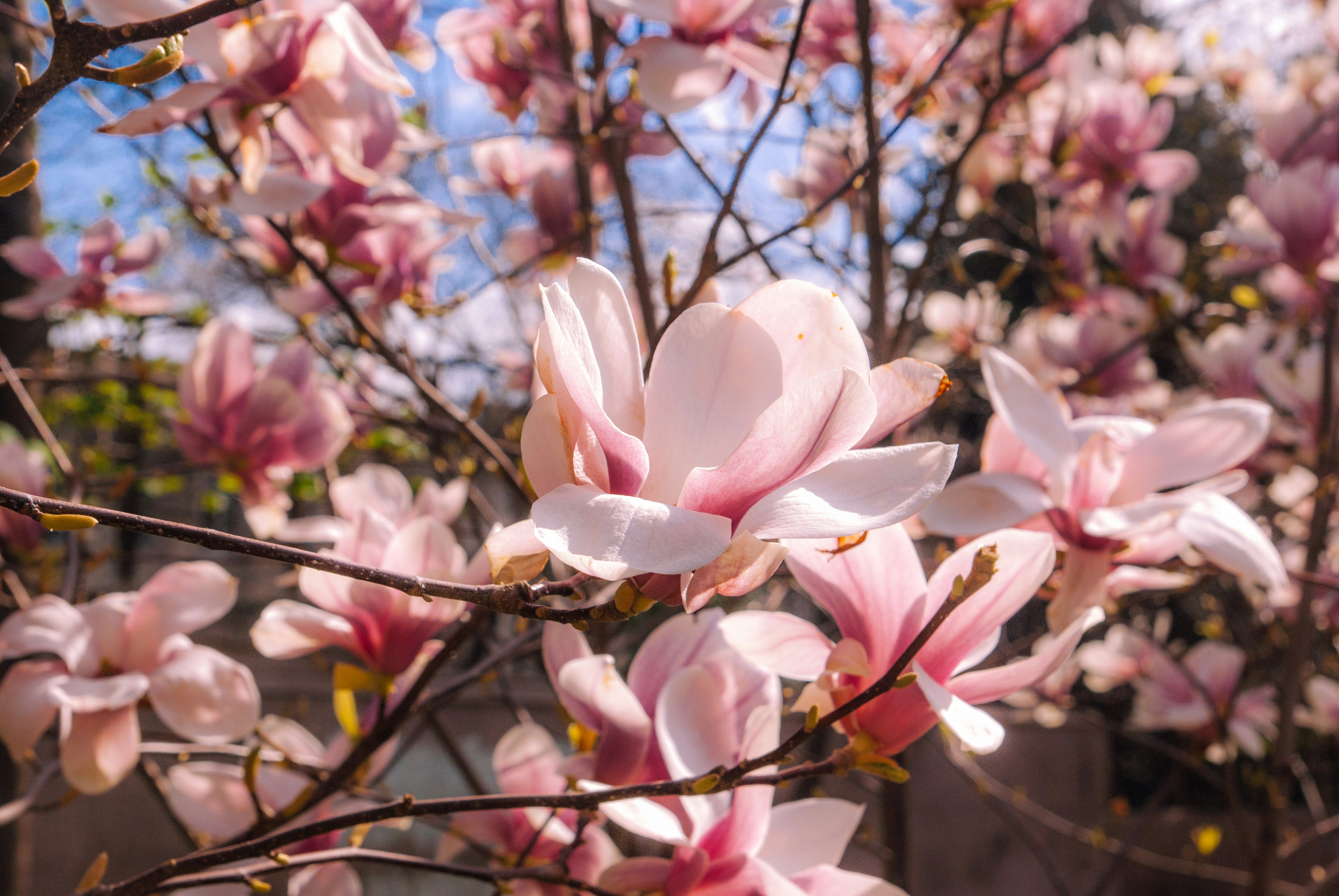 Photo by moonmoons_days