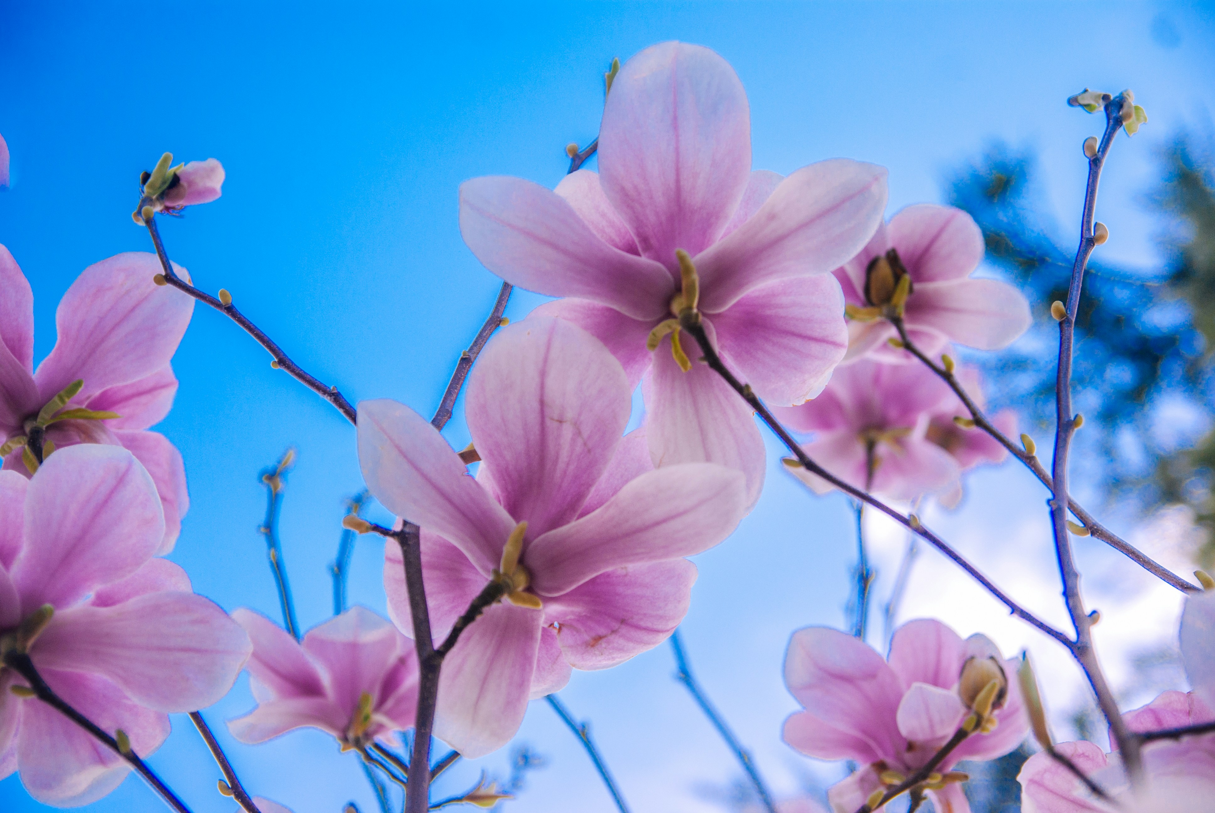 Photo by moonmoons_days