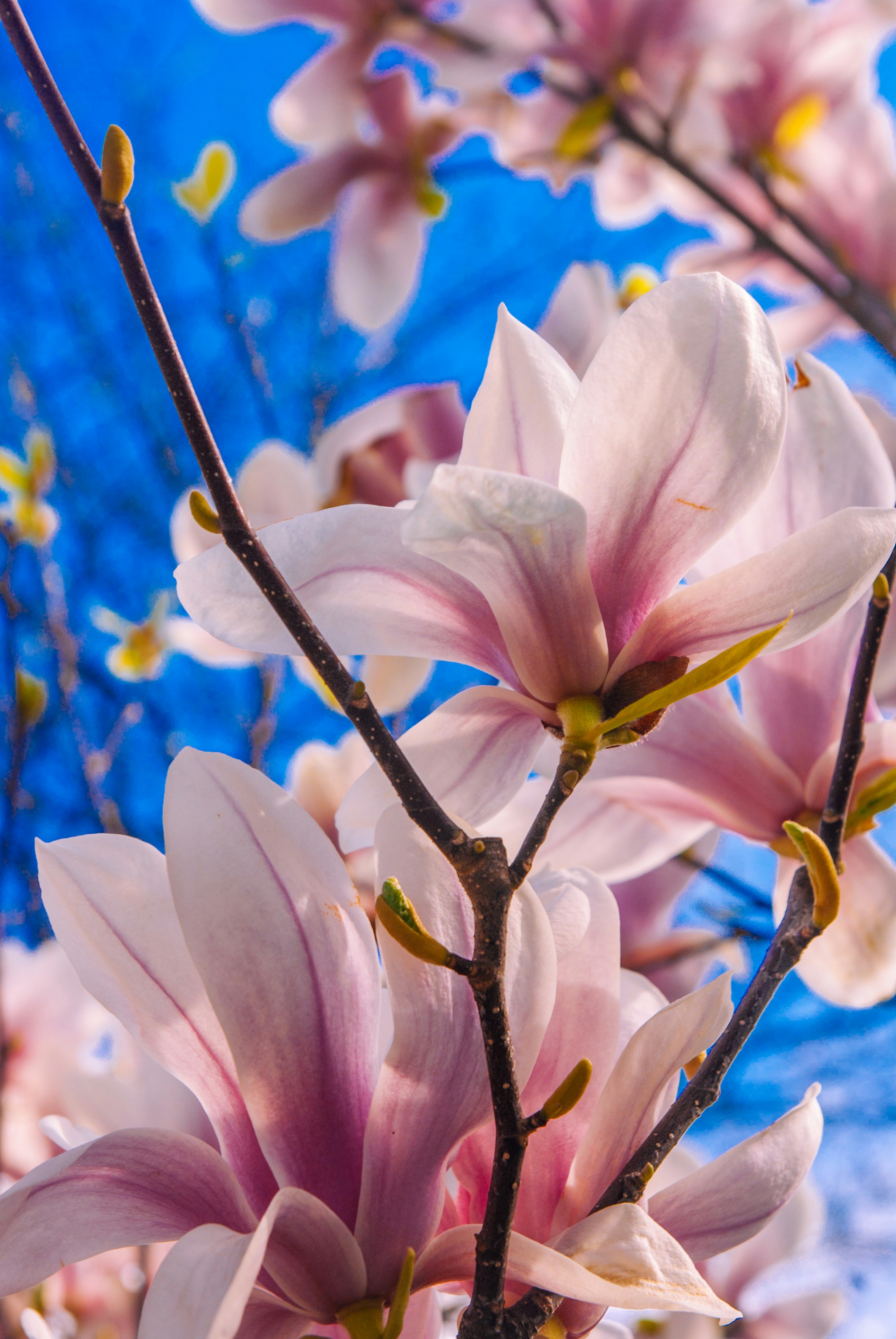 Photo by moonmoons_days