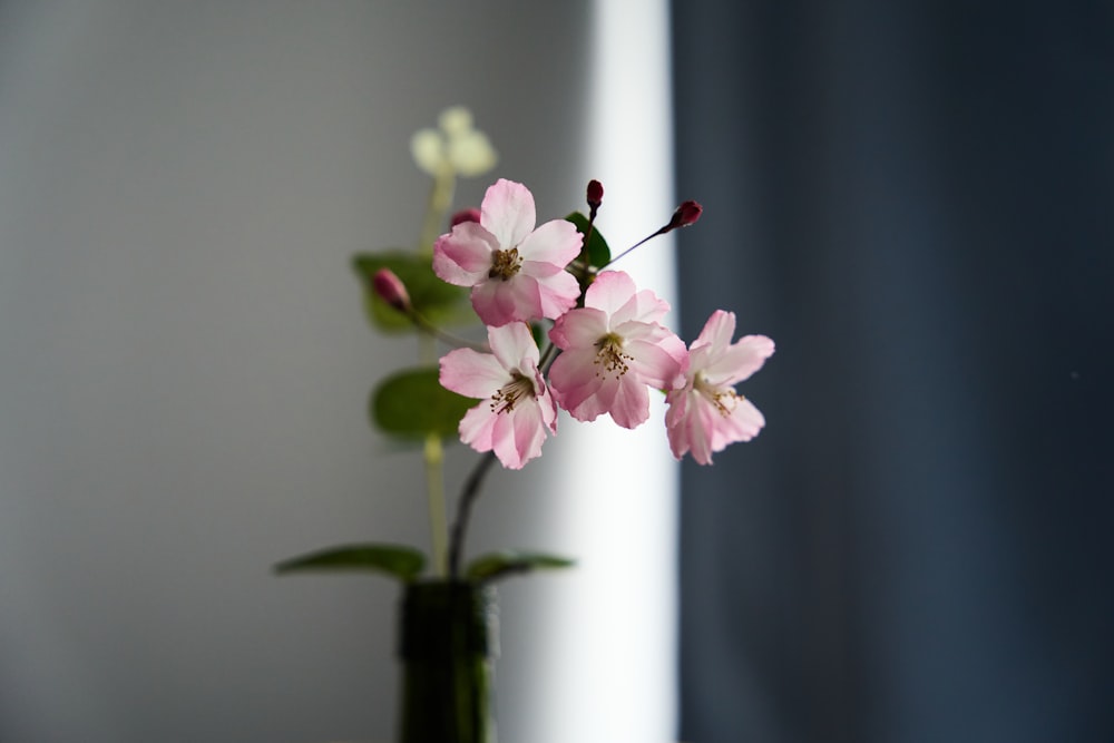 a vase filled with pink flowers on top of a table