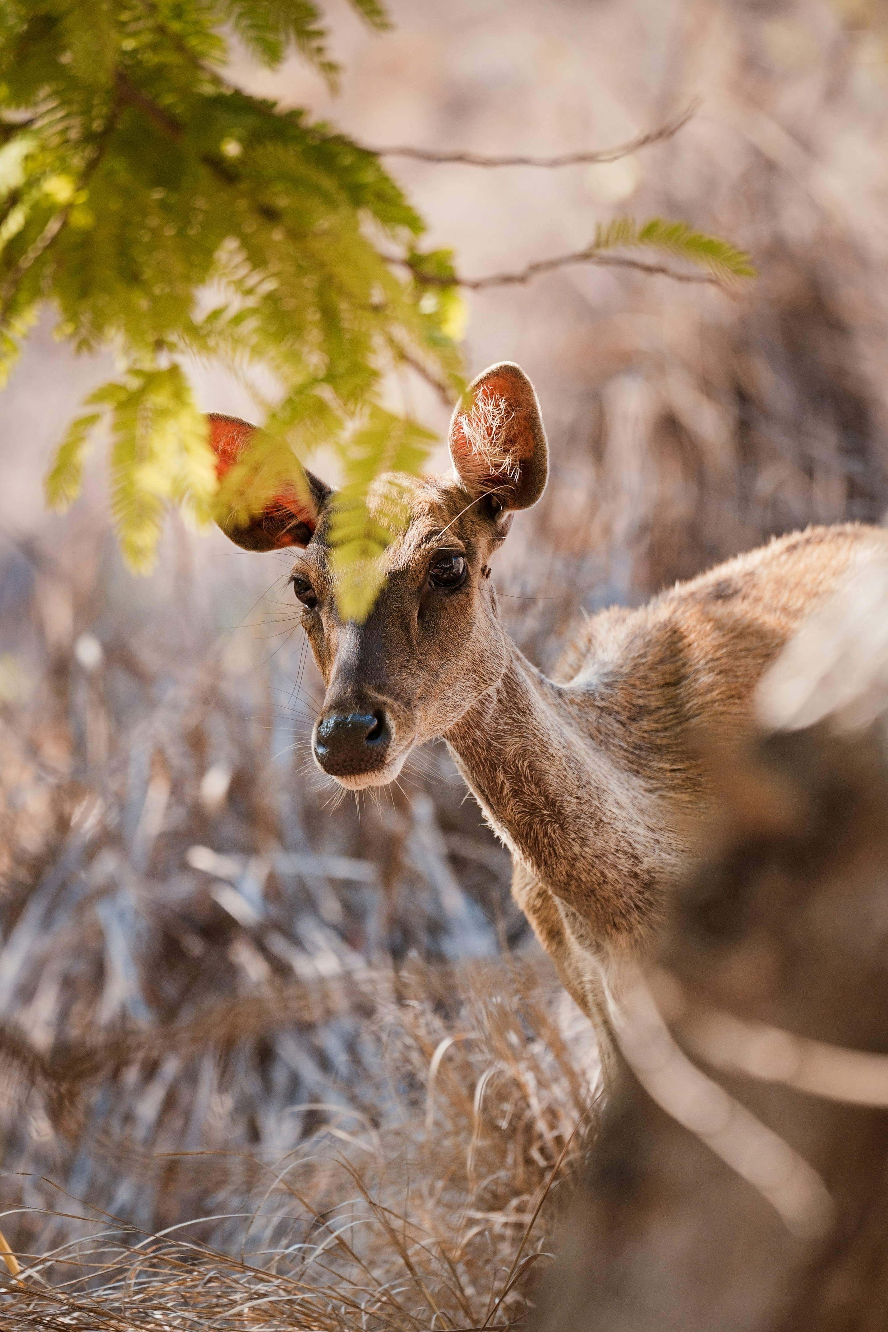 Photo by visualsofdana