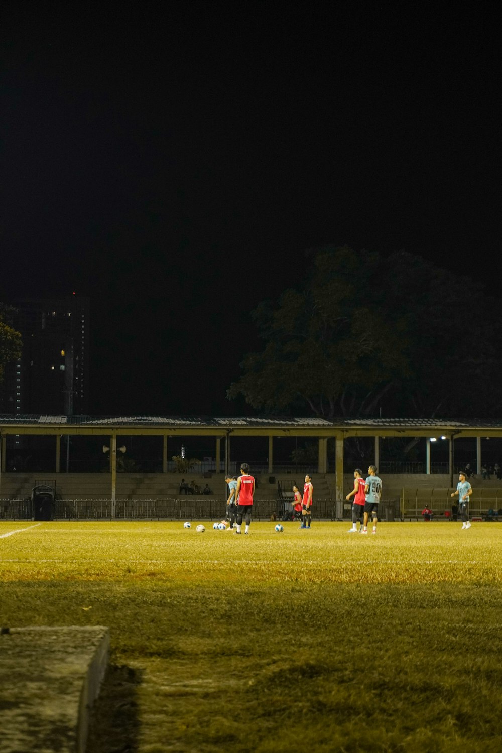 a group of people standing on top of a soccer field