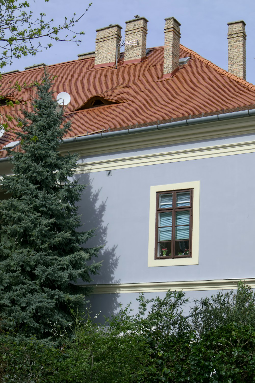 a blue building with a red roof and two windows