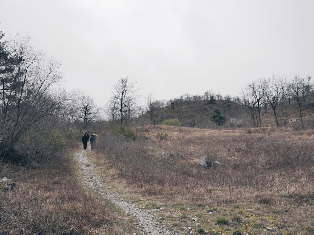 a couple of people walking down a dirt road