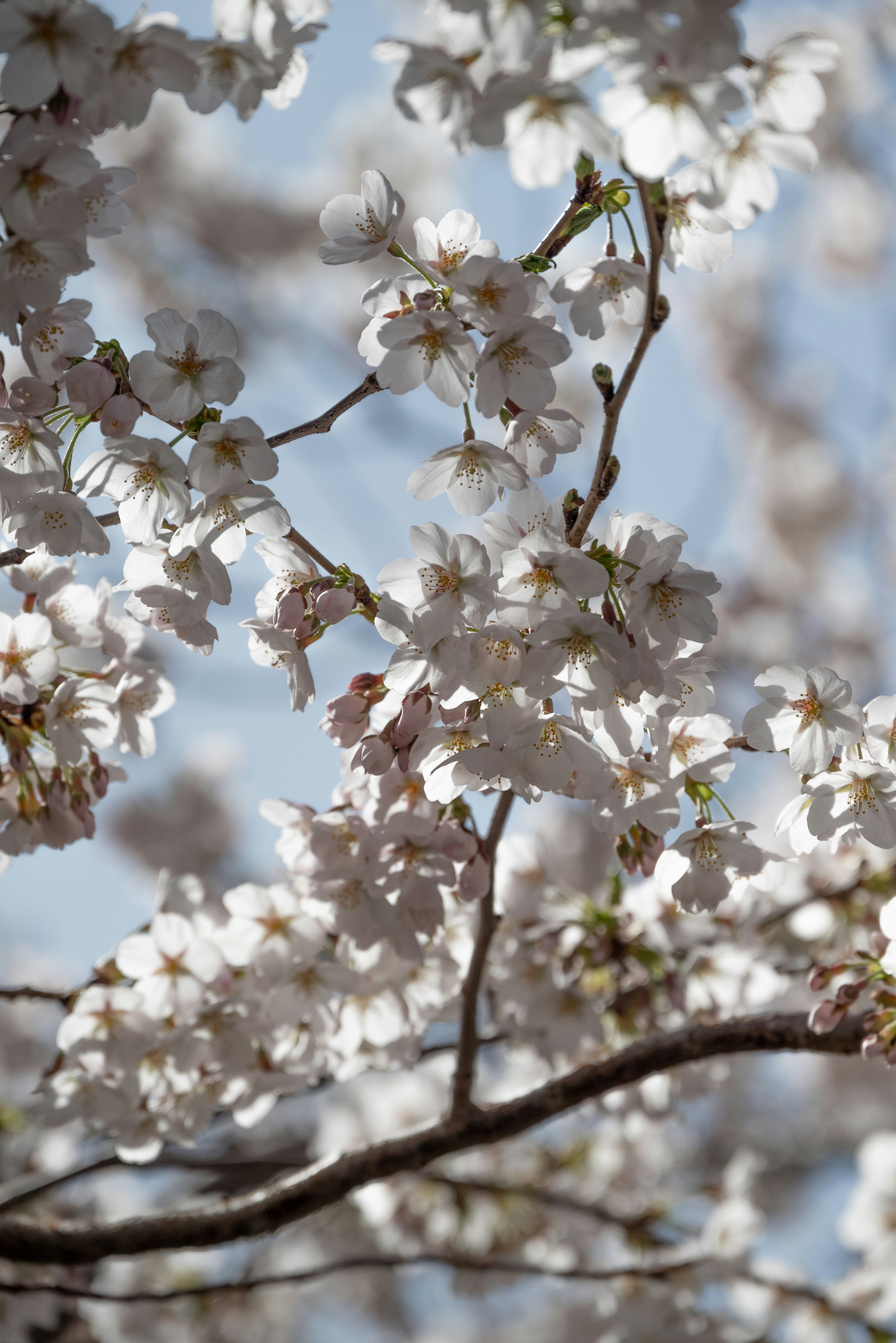 Photo by nikol_royce