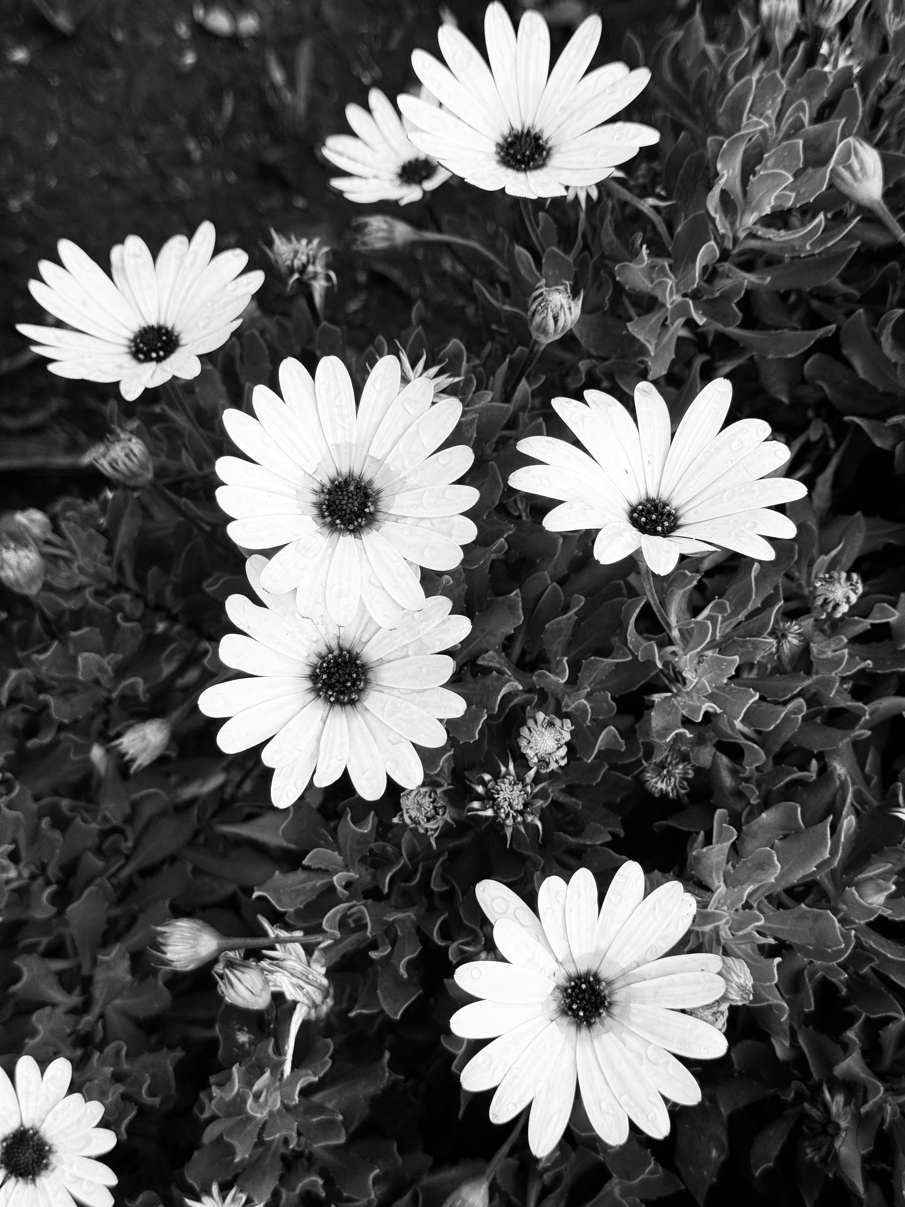 Photo by solenfeyissa