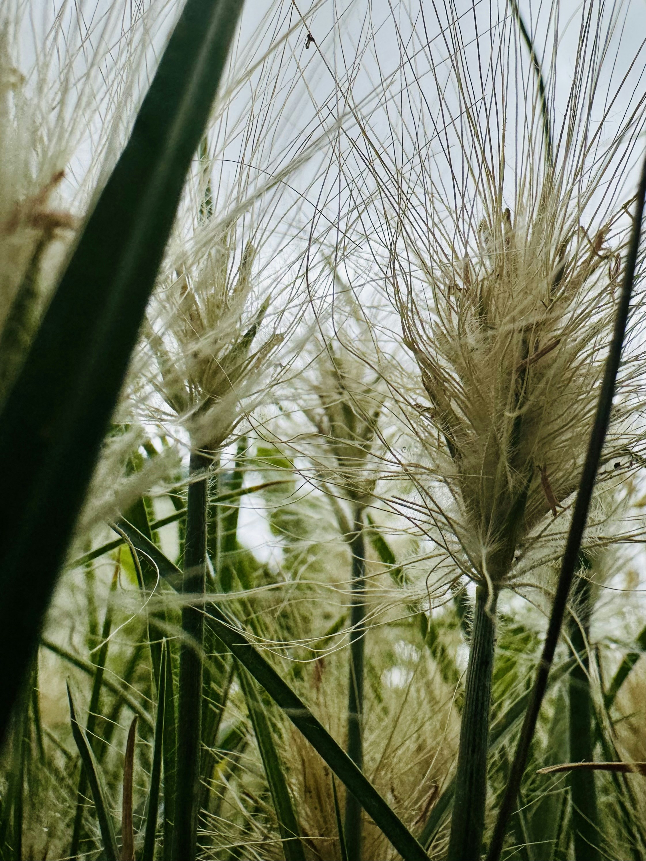 Photo by solenfeyissa