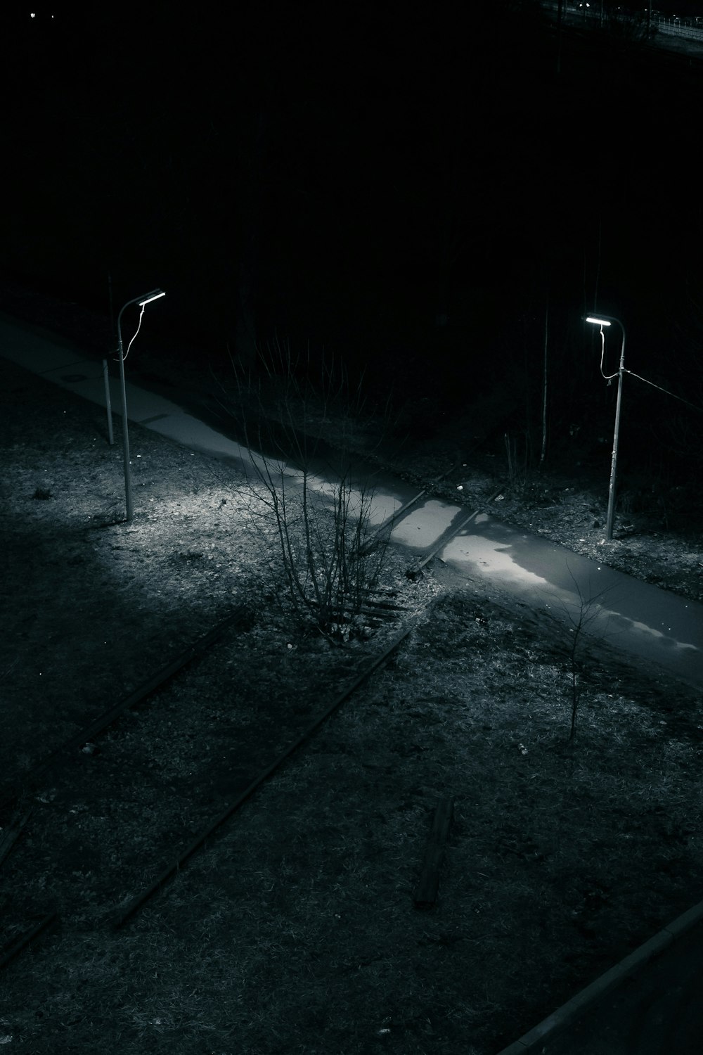 a couple of street lights sitting on the side of a road