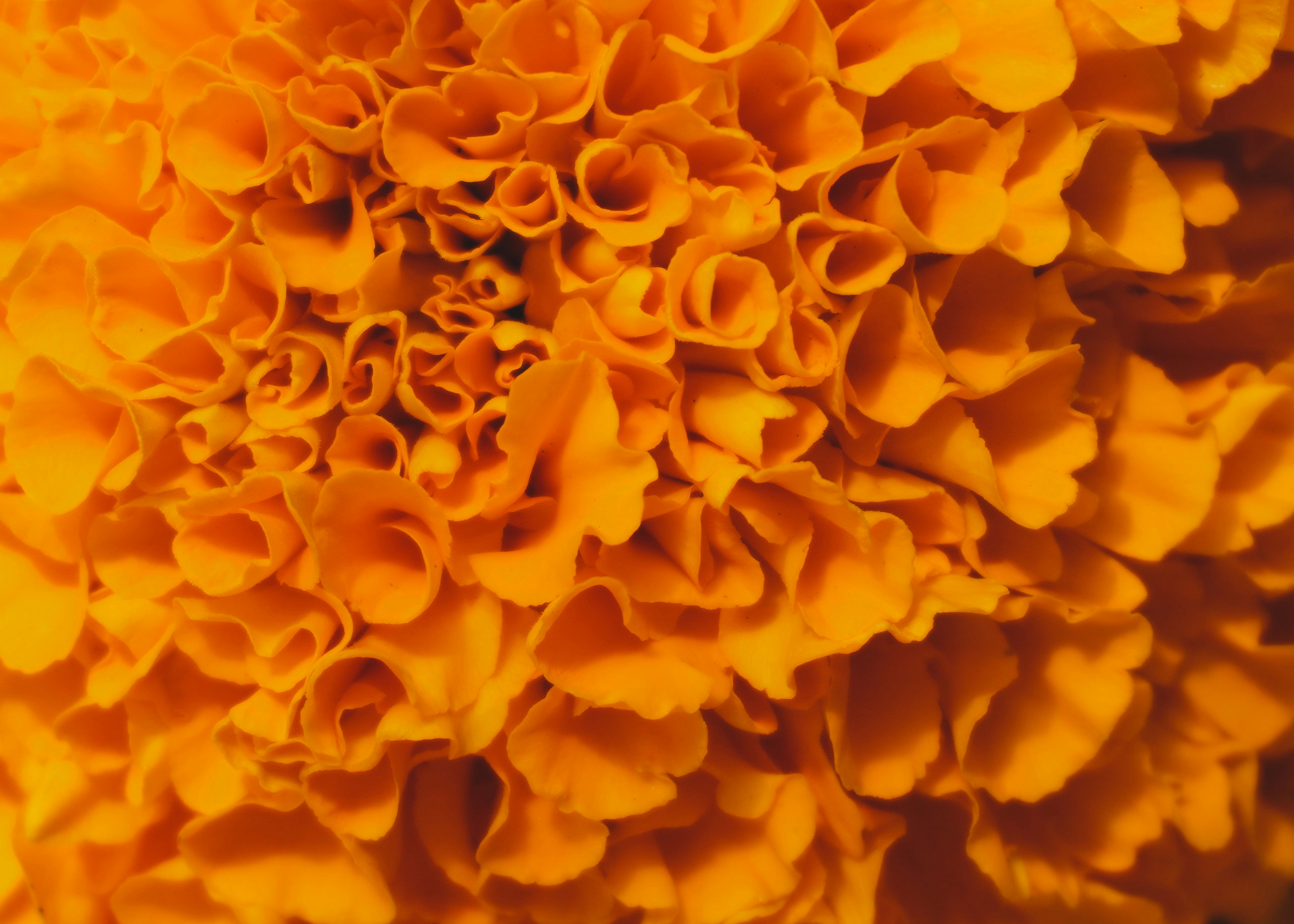 Albuquerque cityscape