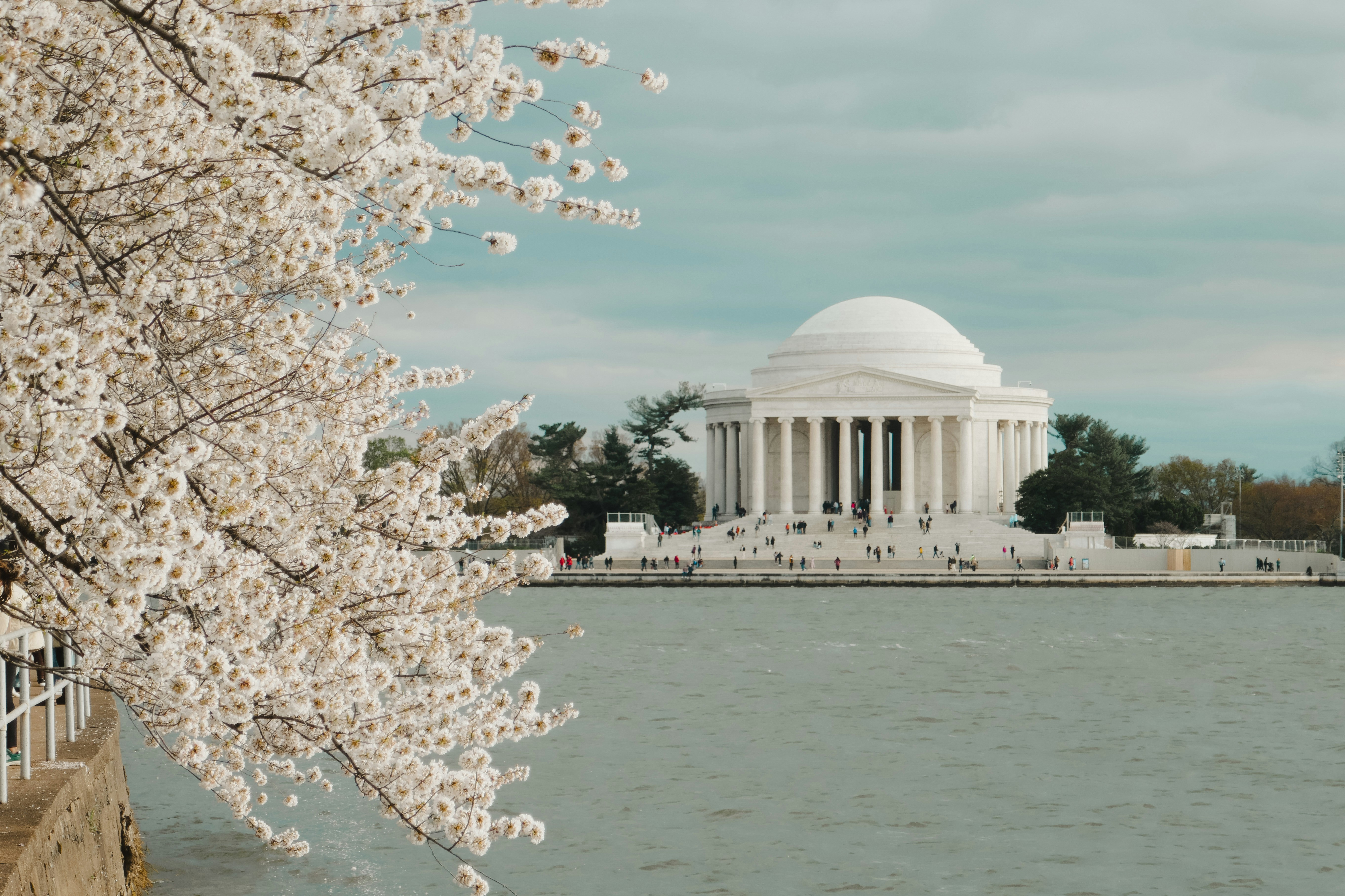 a view of the jefferson memorial from across the water