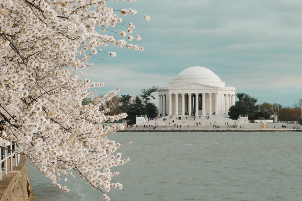 a view of the jefferson memorial from across the water