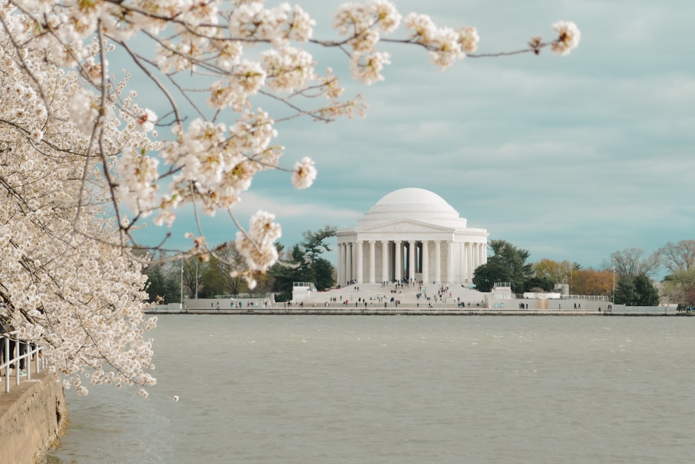 a view of the jefferson memorial from across the water