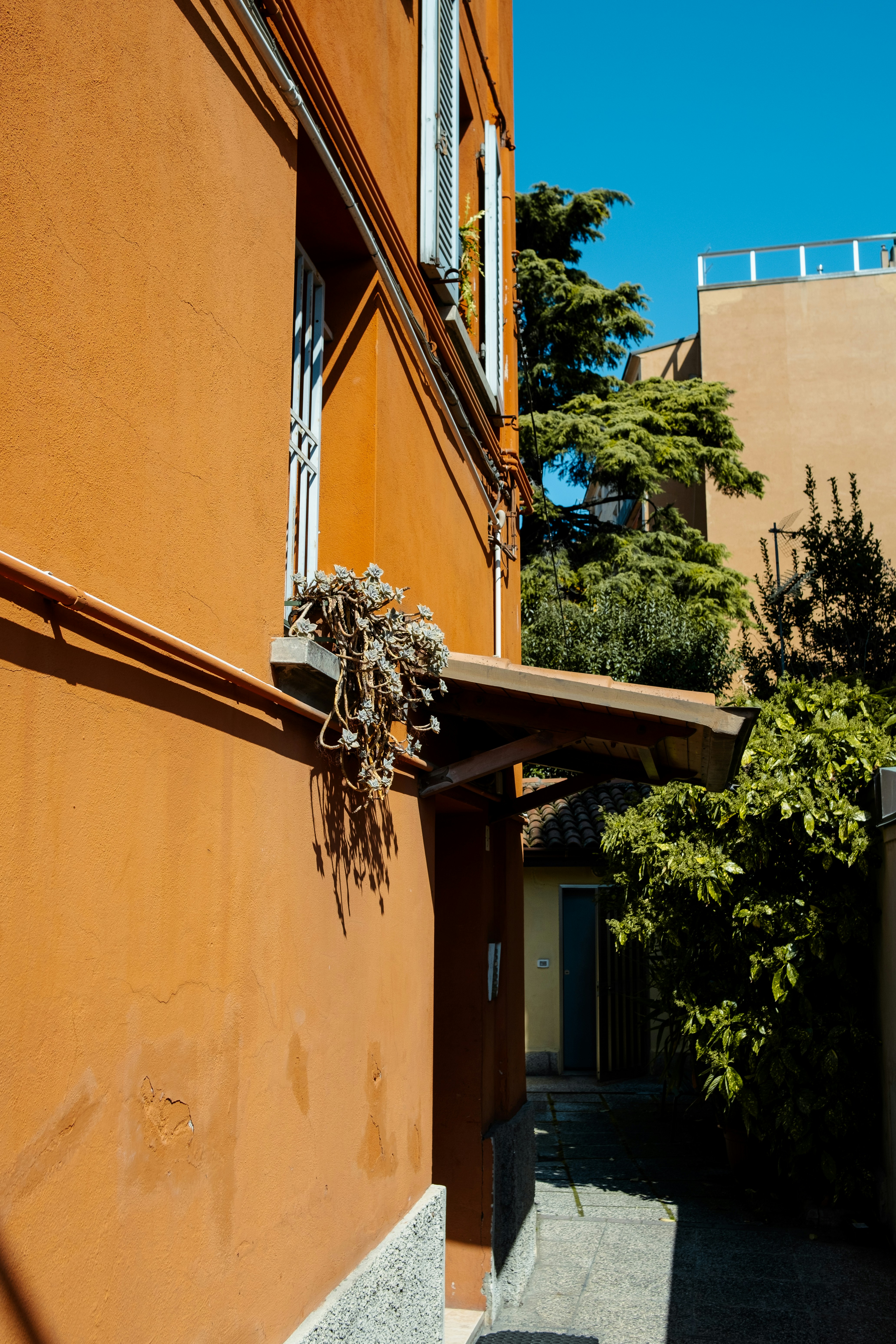 Photo by albertobiondifoto