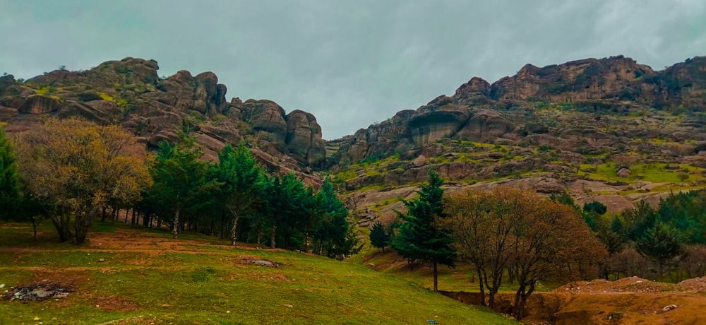 a grassy field with trees and mountains in the background