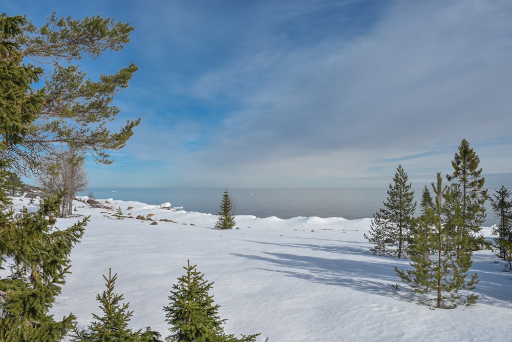 a snow covered field with trees and a body of water in the distance