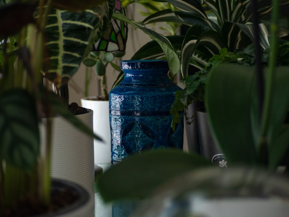 a blue vase sitting on top of a table next to potted plants