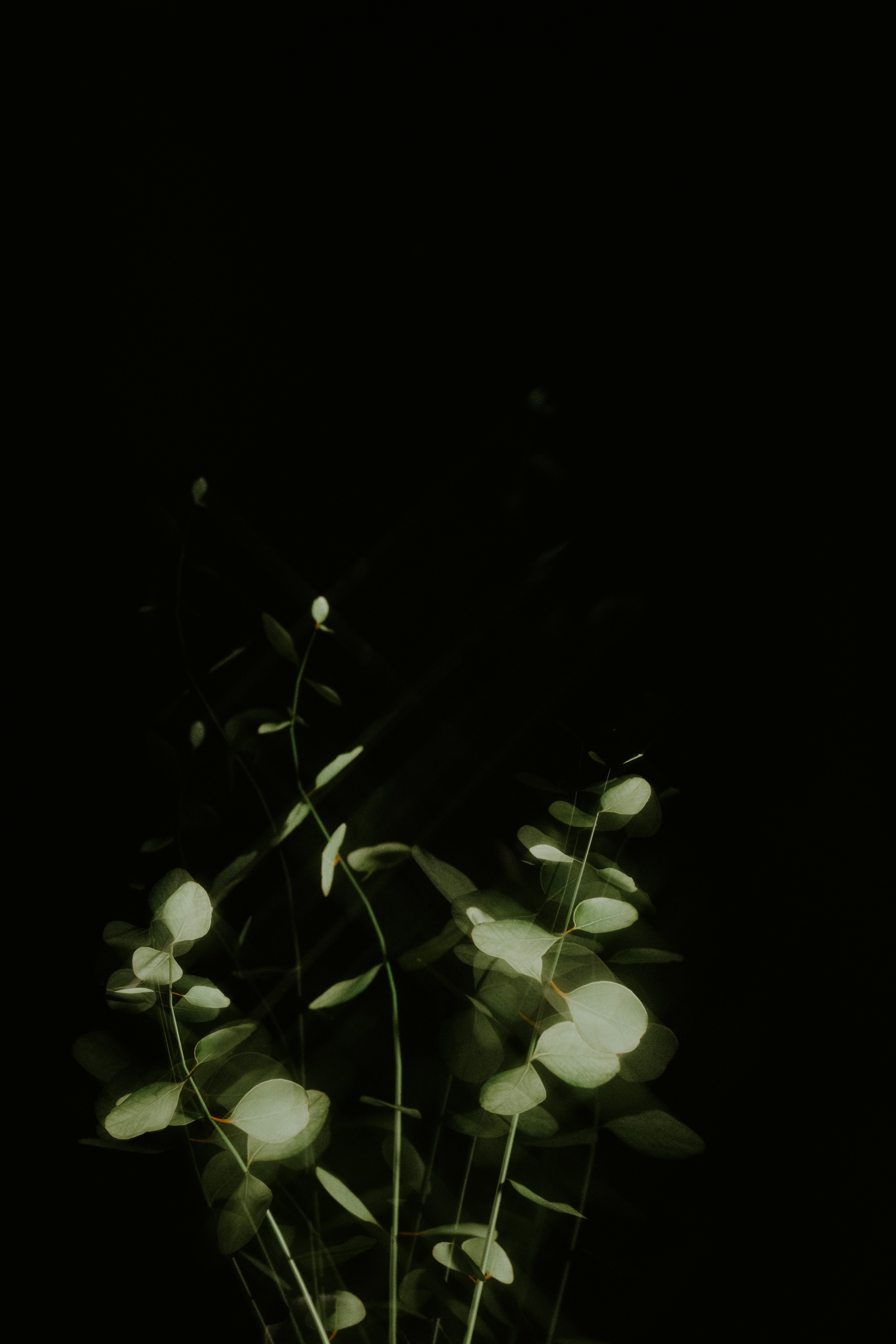 Photo by pawel_czerwinski