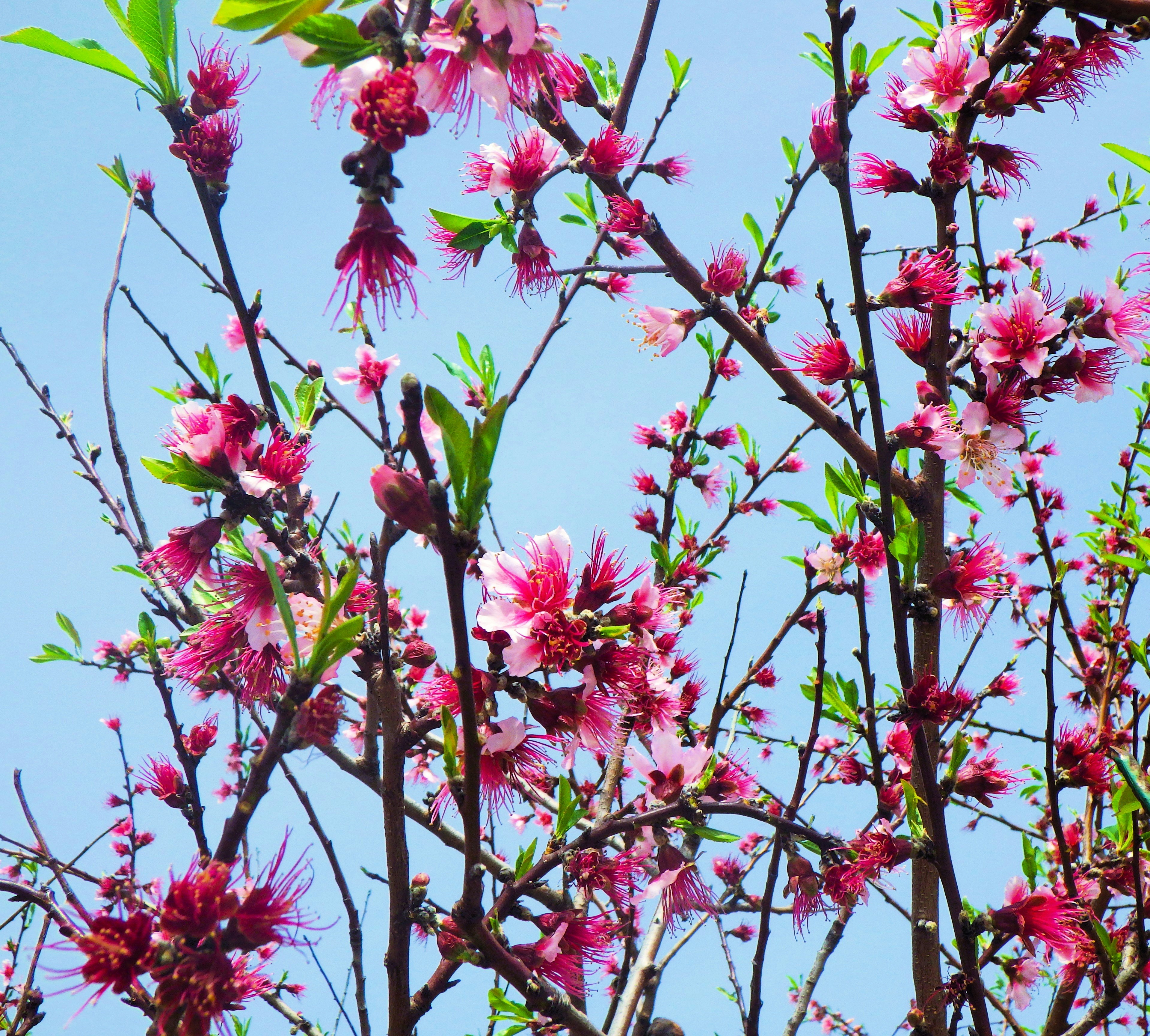 Photo by dominapetric