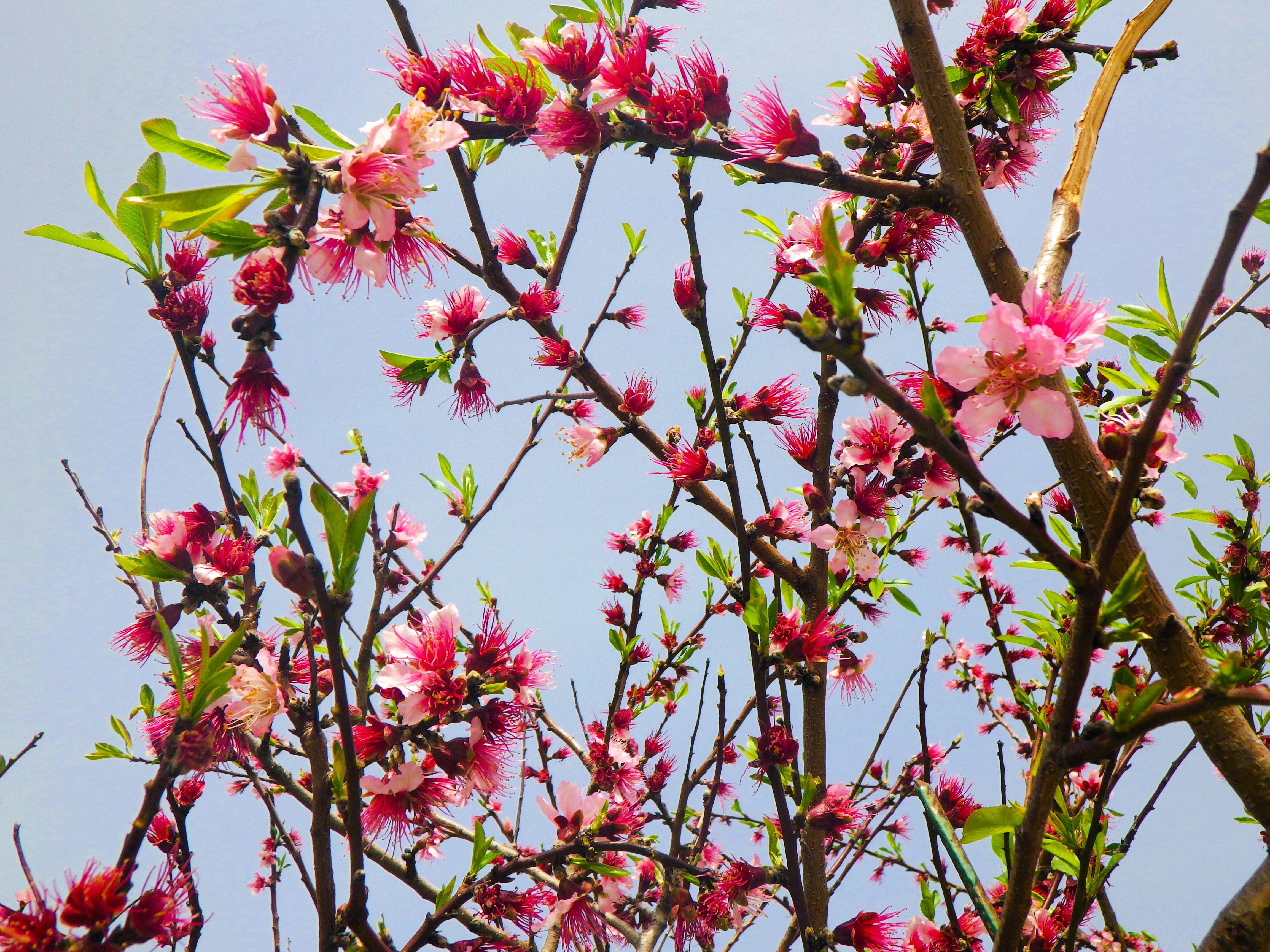 Photo by dominapetric