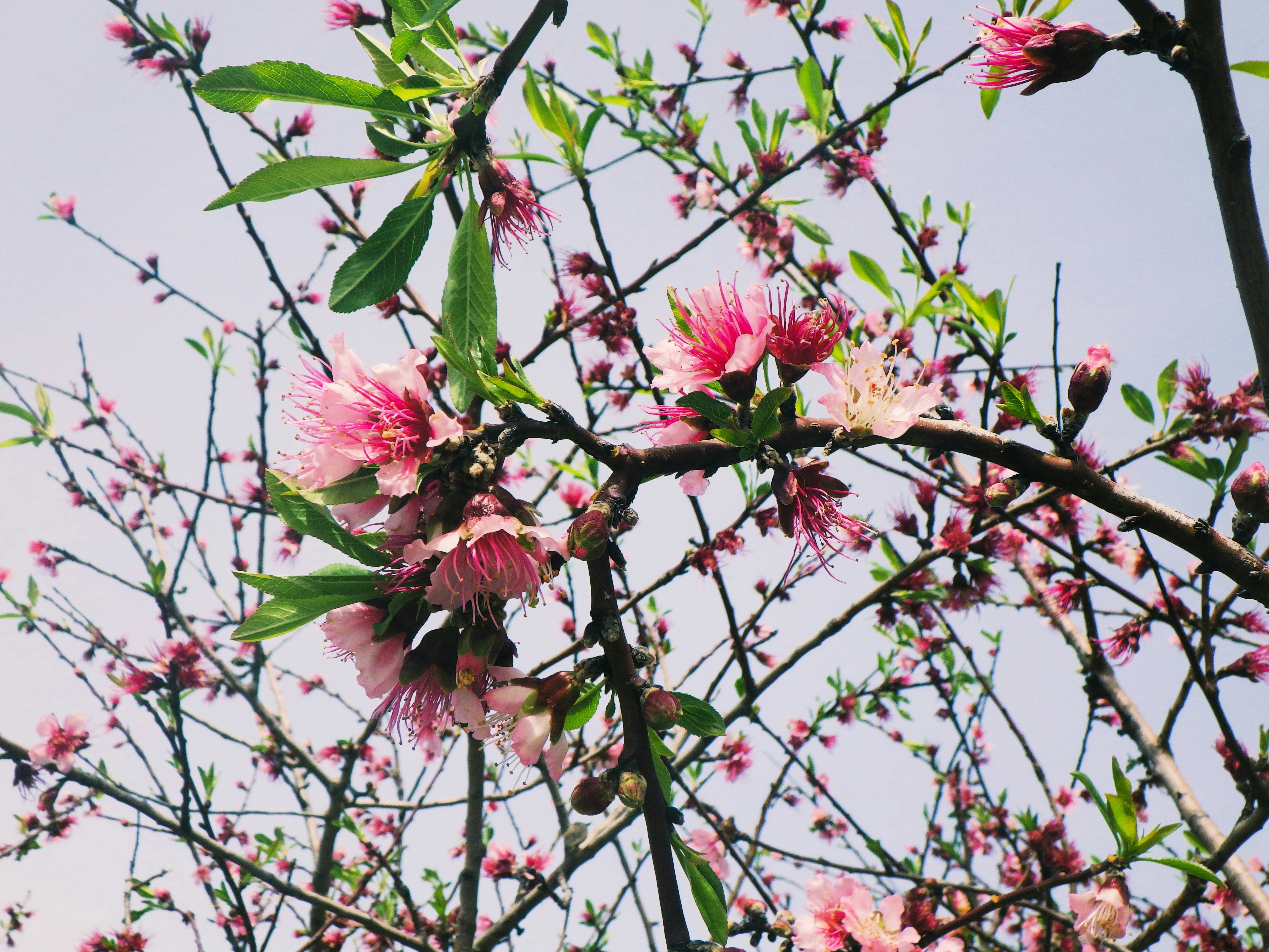 Photo by dominapetric