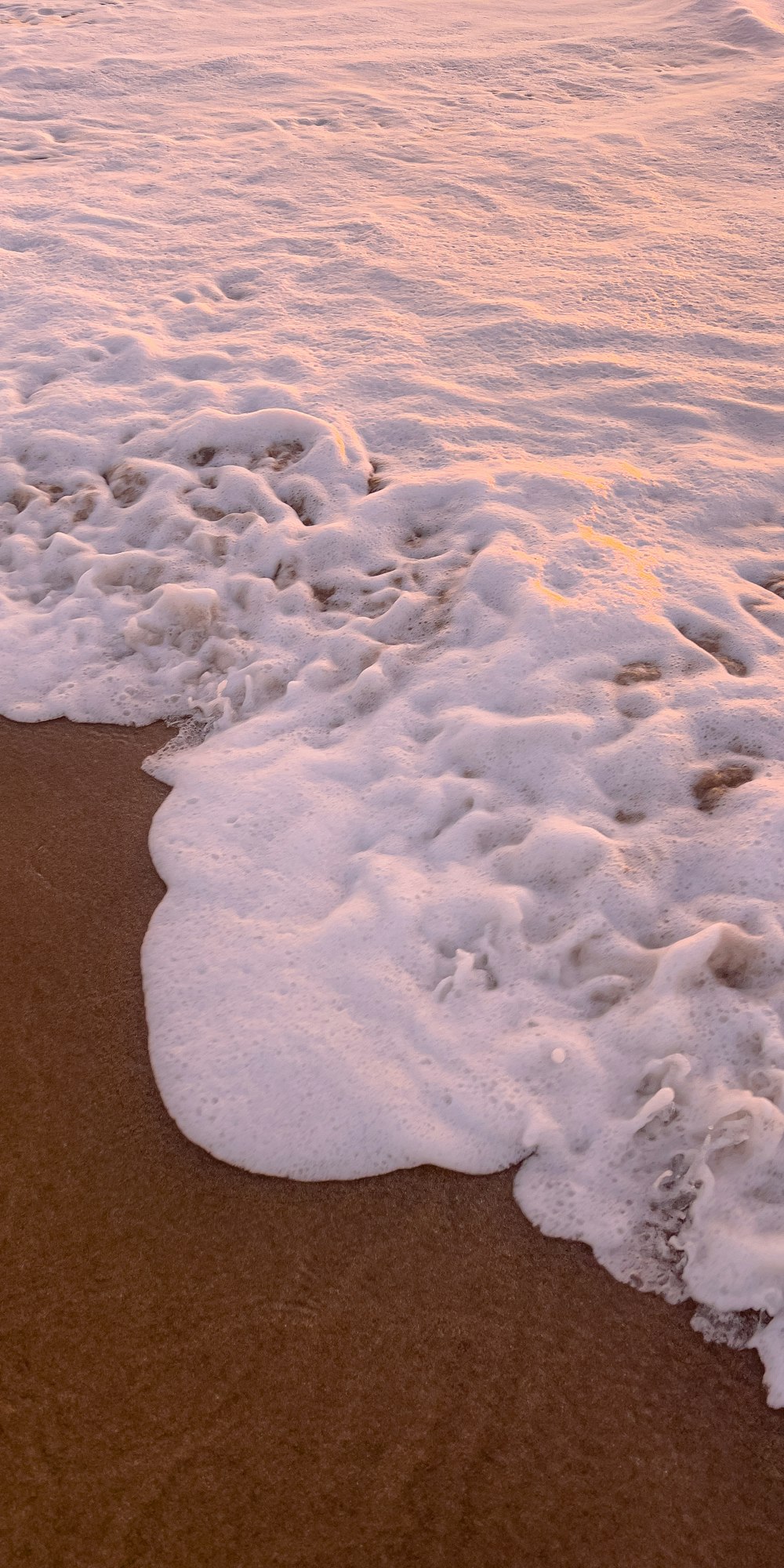 a surfboard sitting on top of a sandy beach