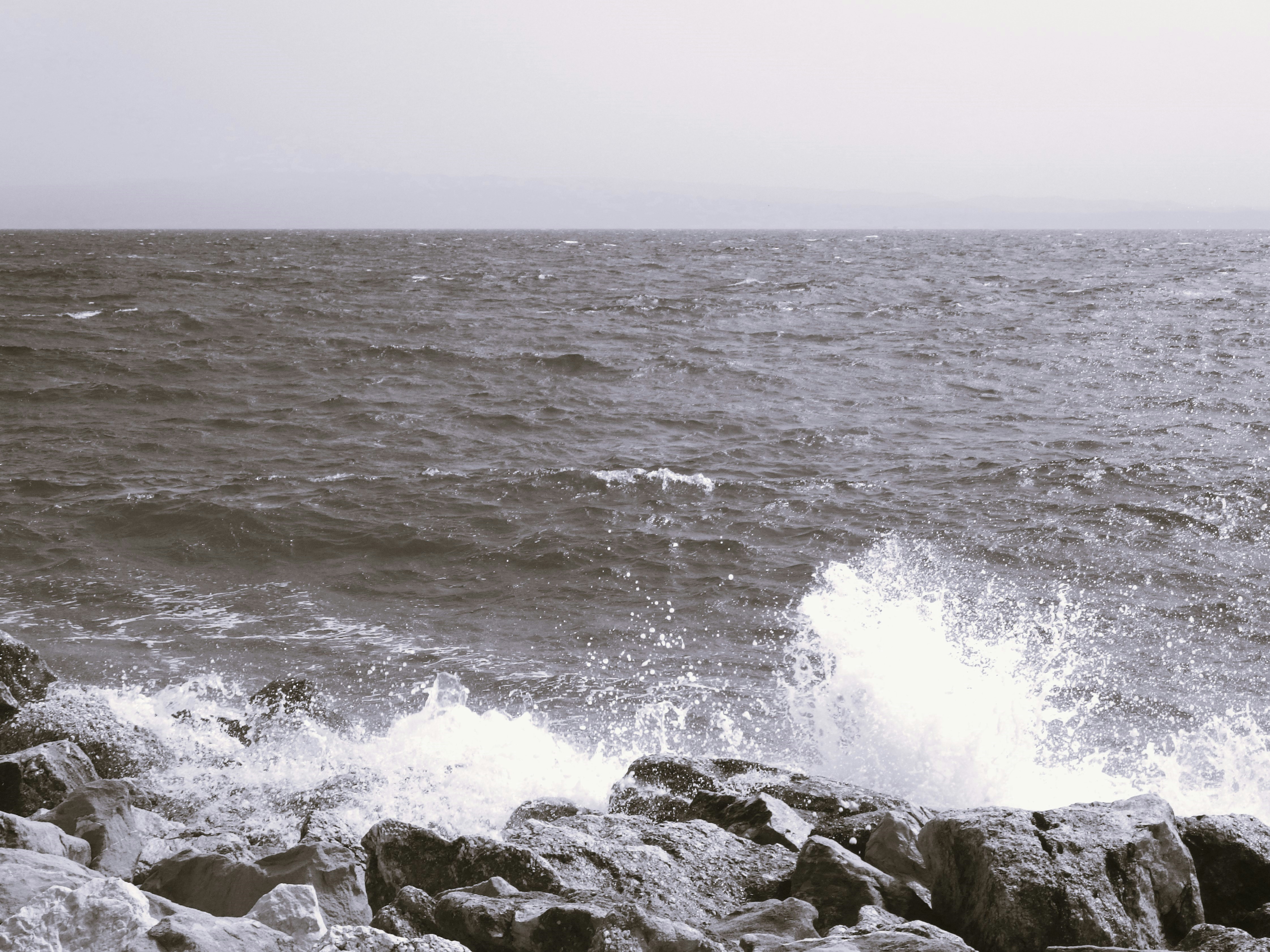 Photo by dominapetric