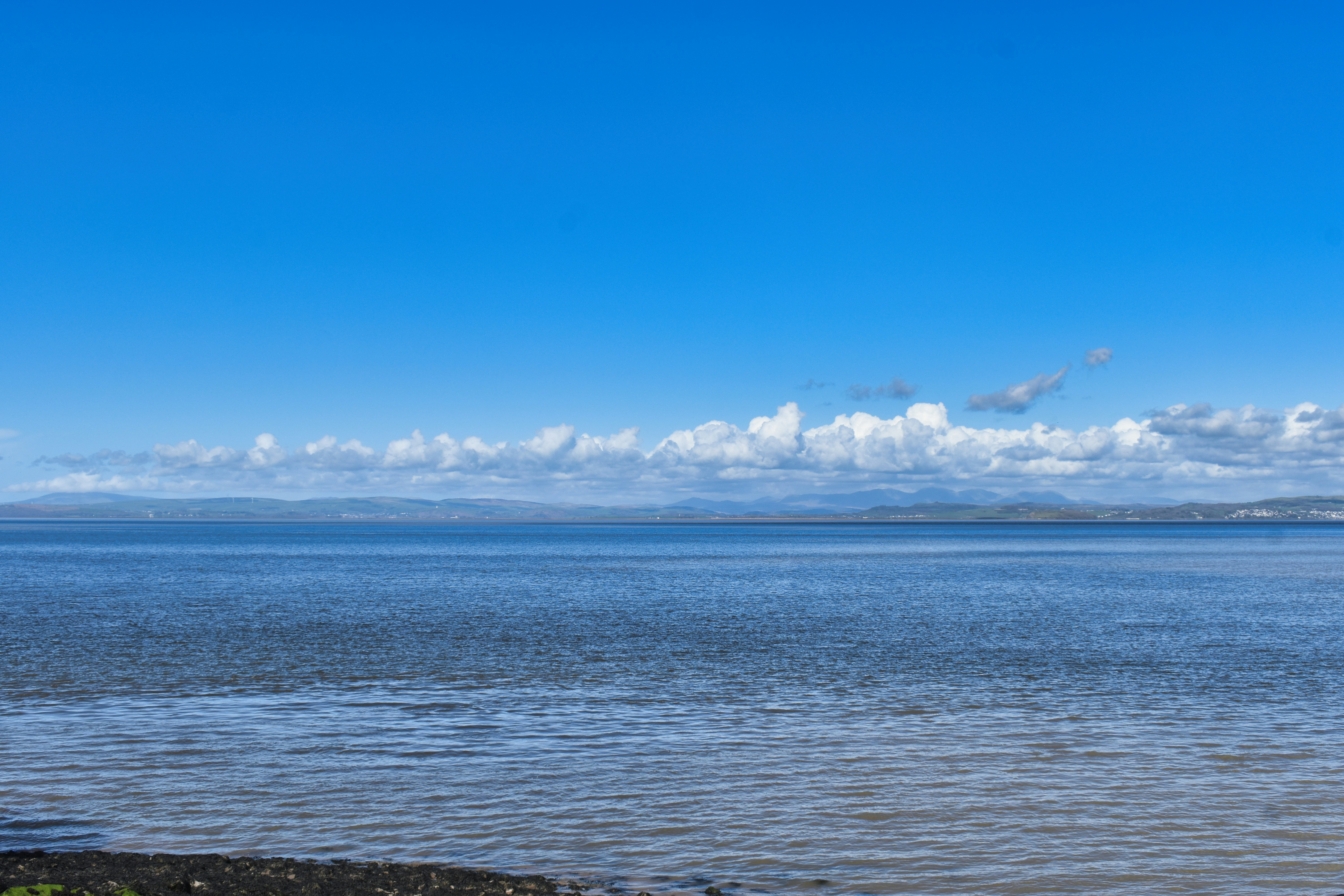 Photo by andrew_hall